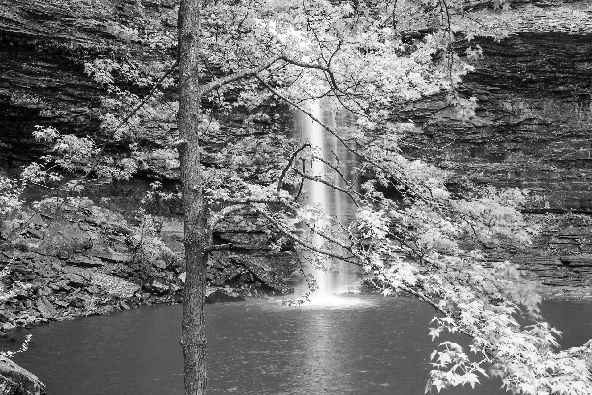 Petit Jean #34 : Arkansas, April 2009