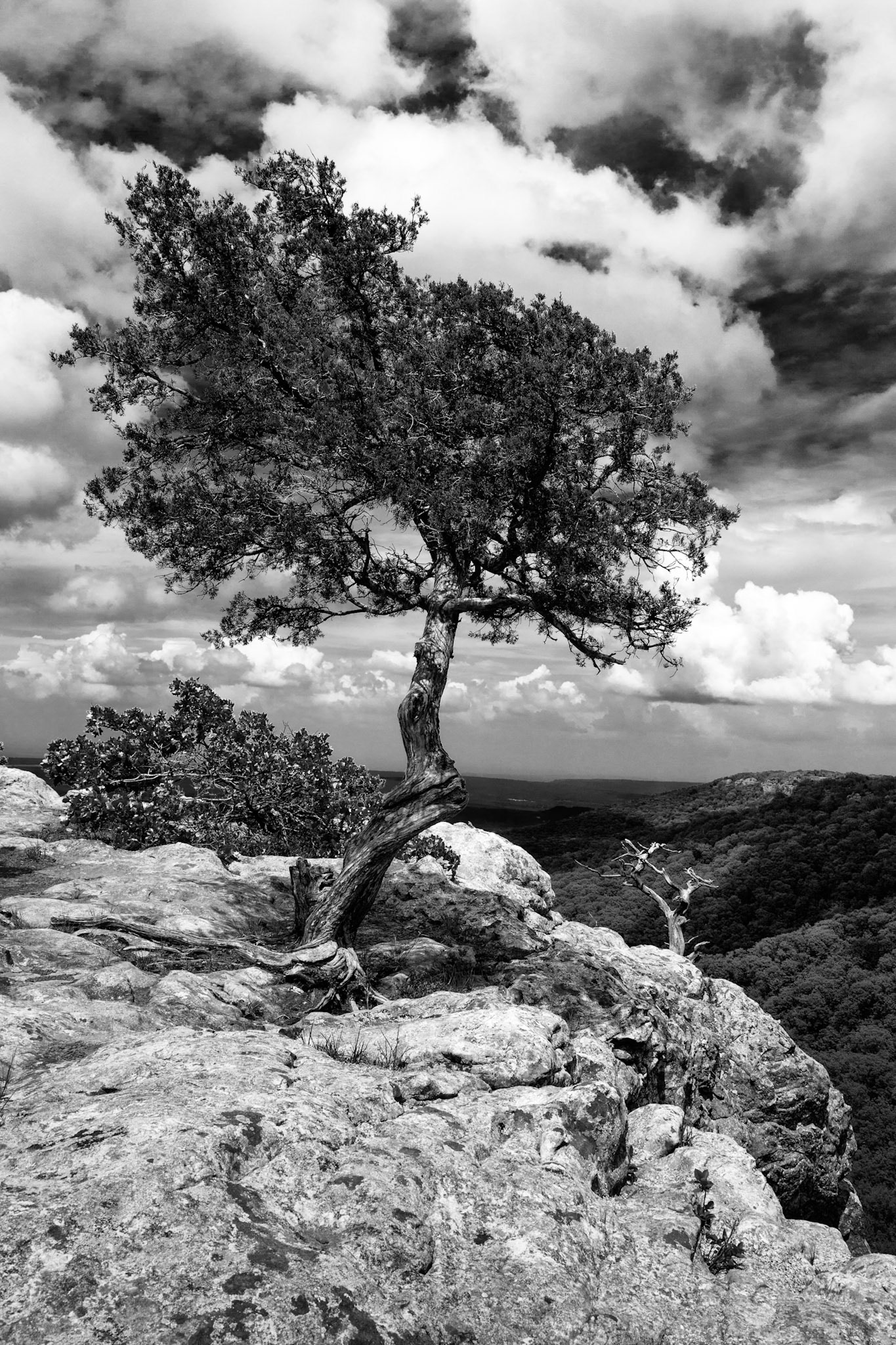 Mt. Magazine #1 : Arkansas, May 2013