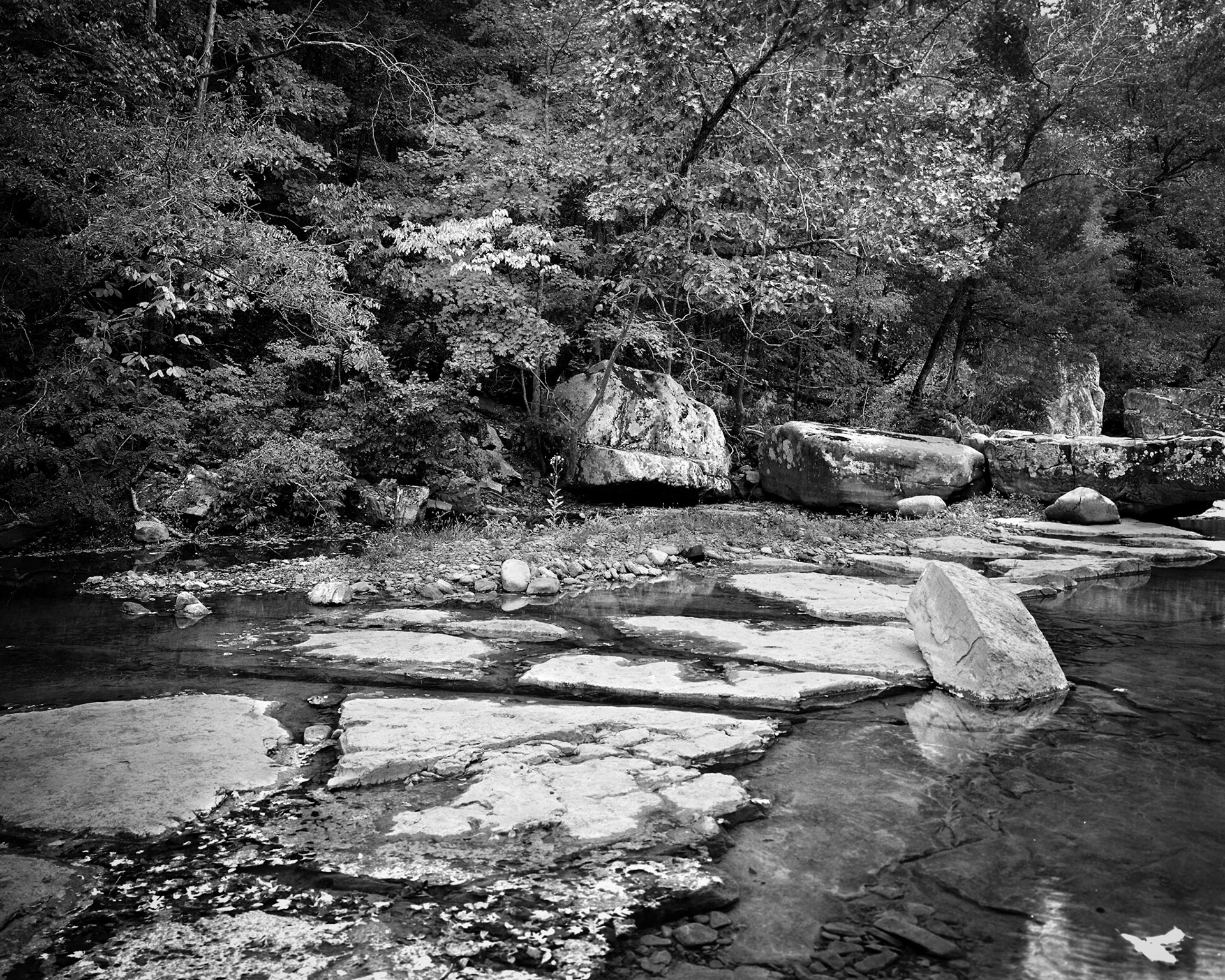 Rcihland Creek Wilderness #2 : Arkansas, October 2005