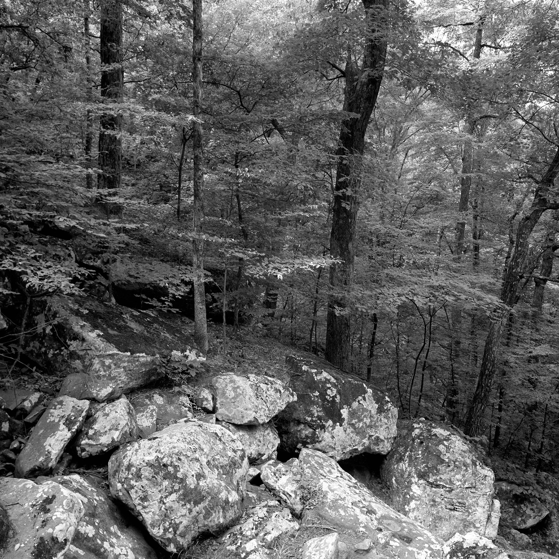 Petit Jean #24 : Arkansas, October 2001