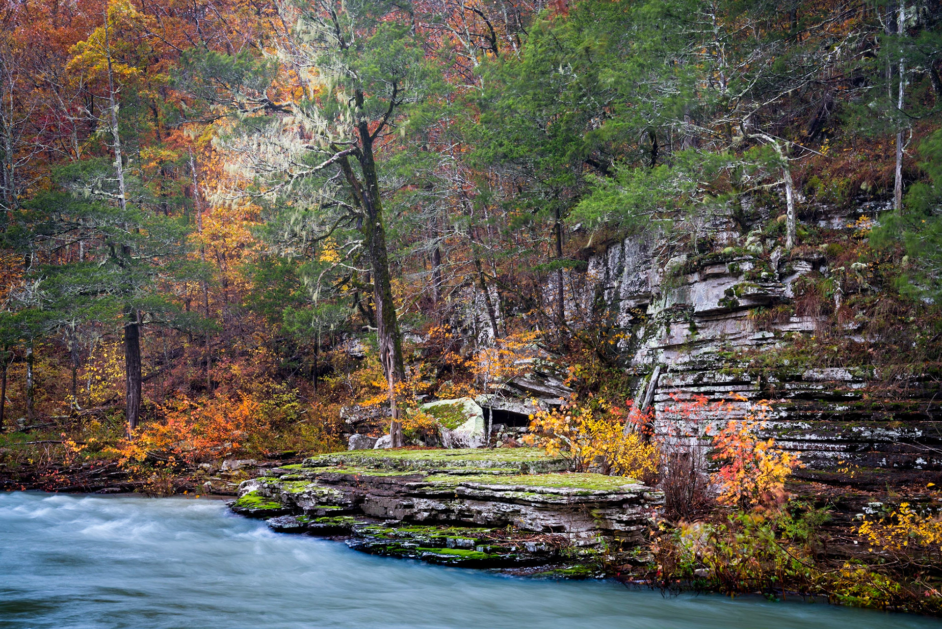 Richland Creek Wilderness #25 : Arkansas, November 2018