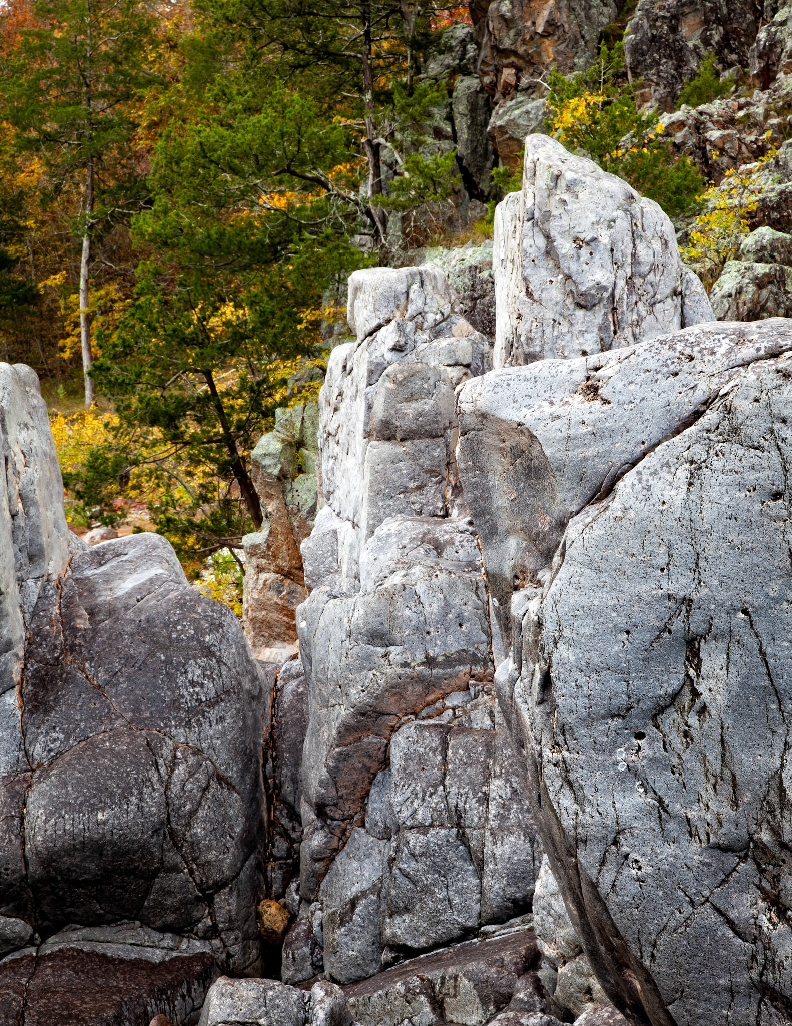 Johnson's Shut-Ins #14 : Missouri, October 2013