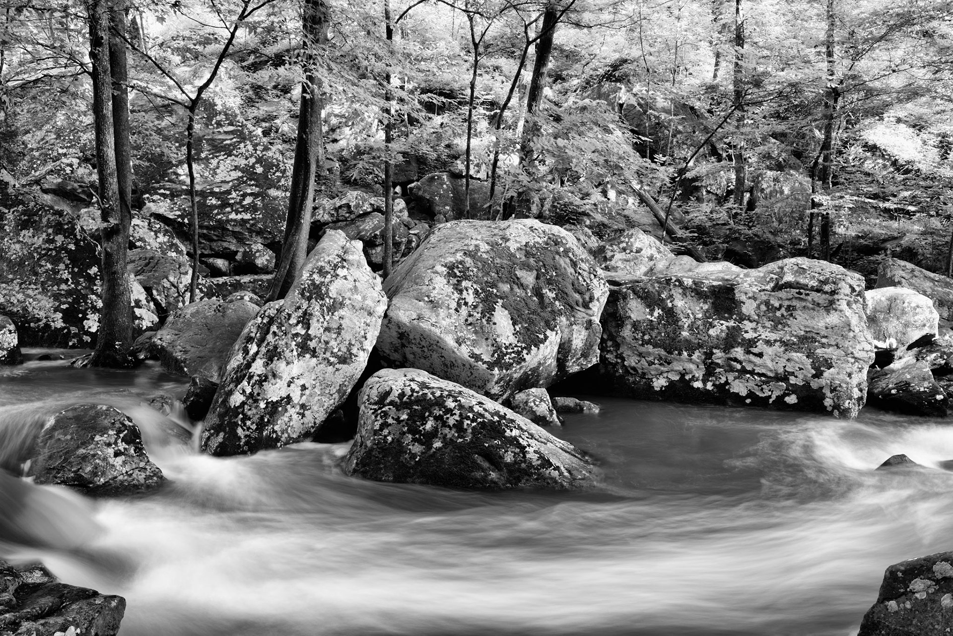 Petit Jean #16 : Arkansas, June 2017