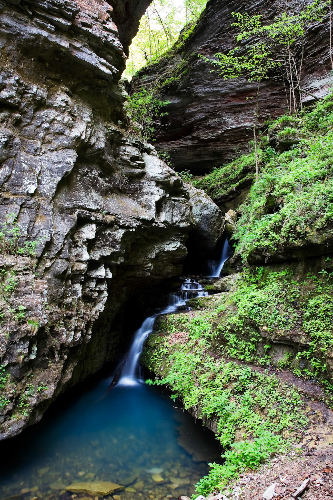 Indian Creek #5 : Arkansas, April 2006