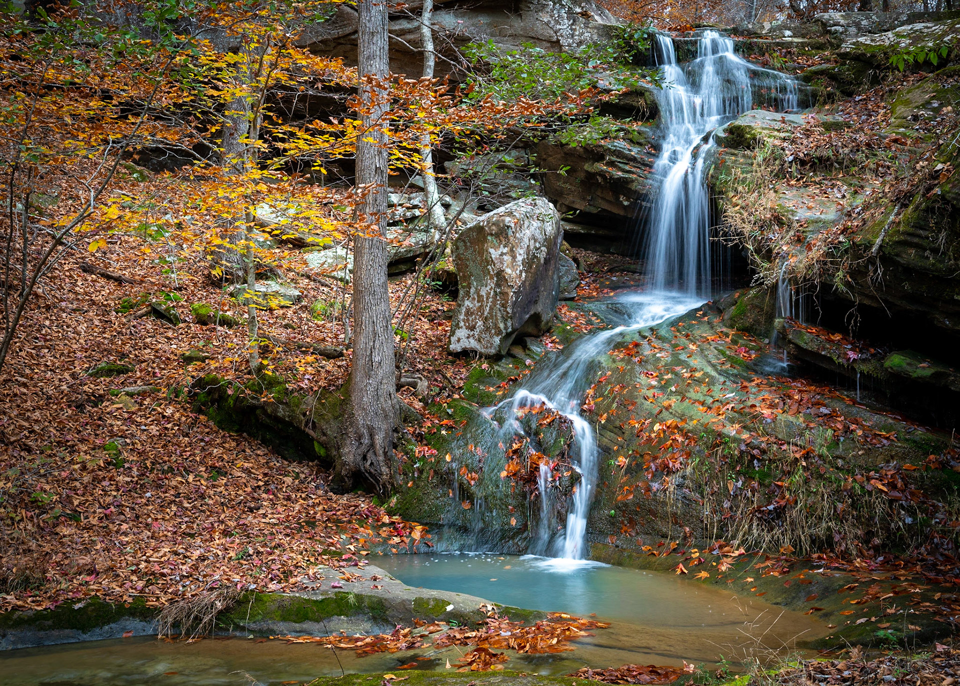 Ozark National Forest #11 : Arkansas, November 2018