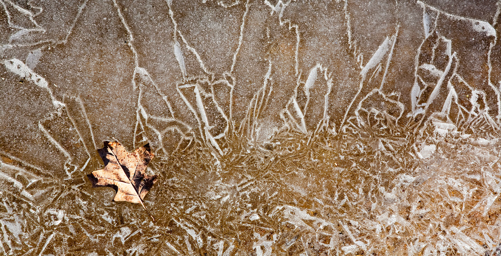 Webster County #3 : Missouri, January 2008