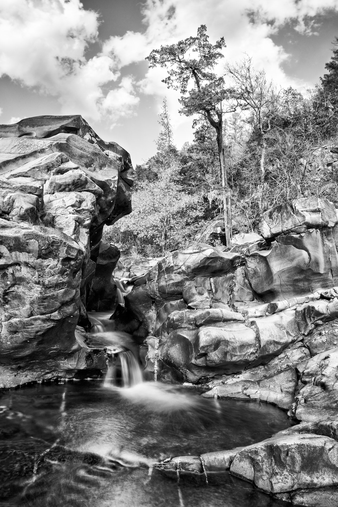 Cossatot River Natural Area #22 : Arkansas, November 2012
