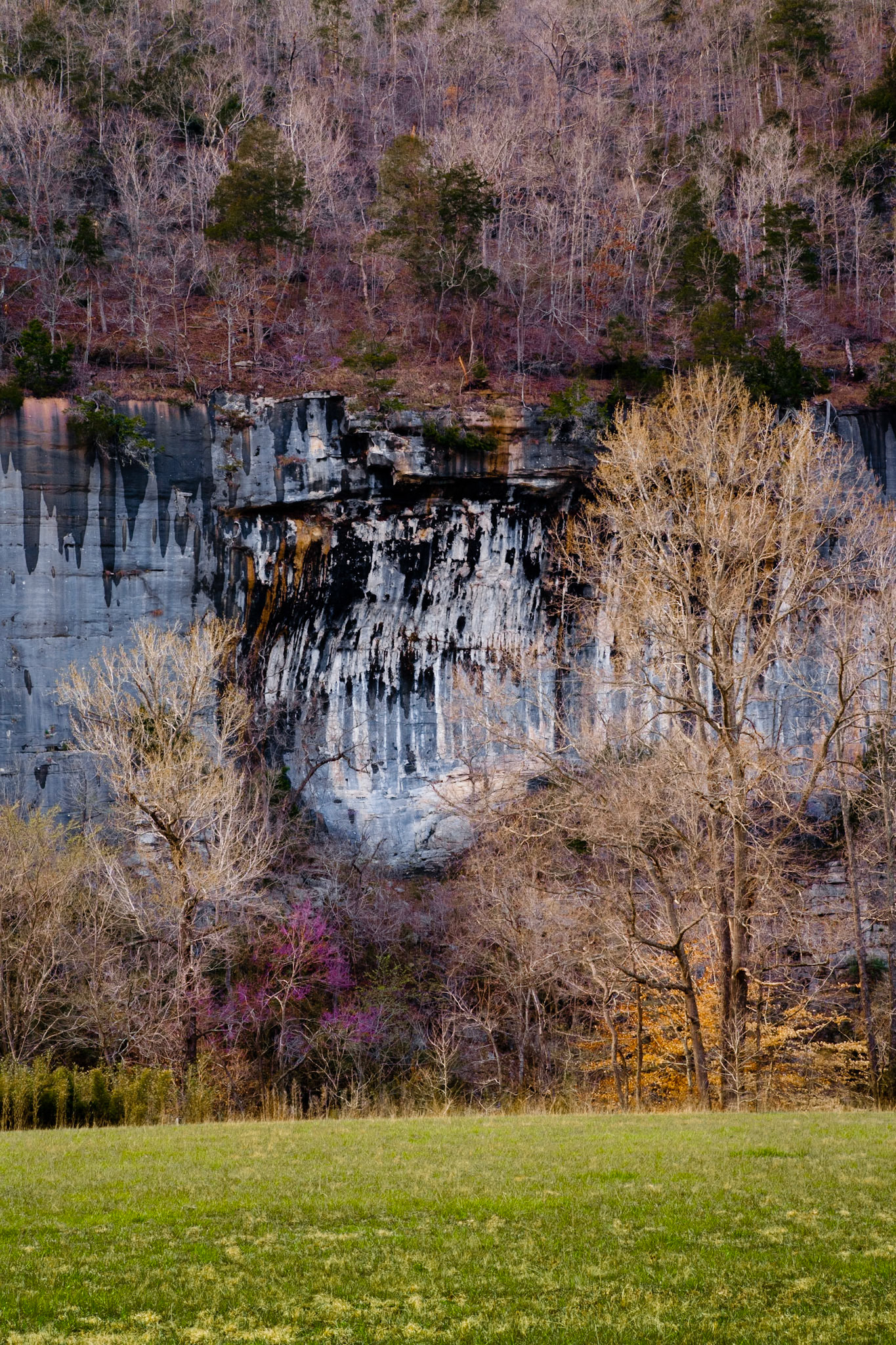 Buffalo River #19 : Arkansas, March 2009