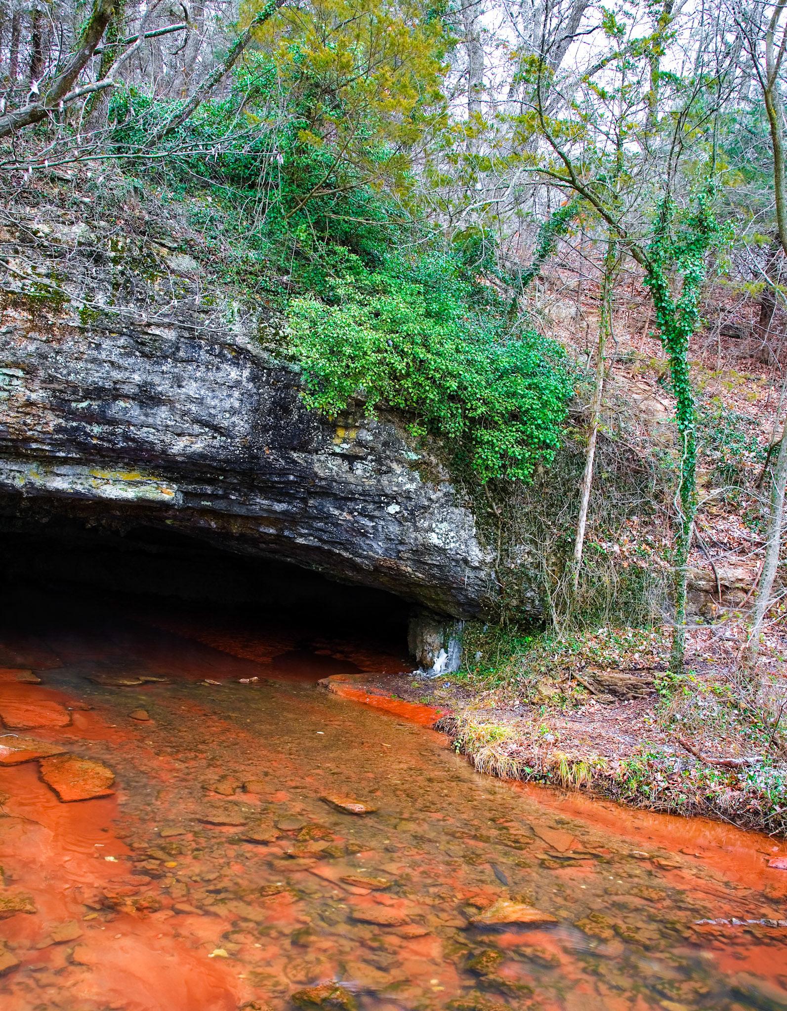 Springfield #7 : Missouri, January 2007