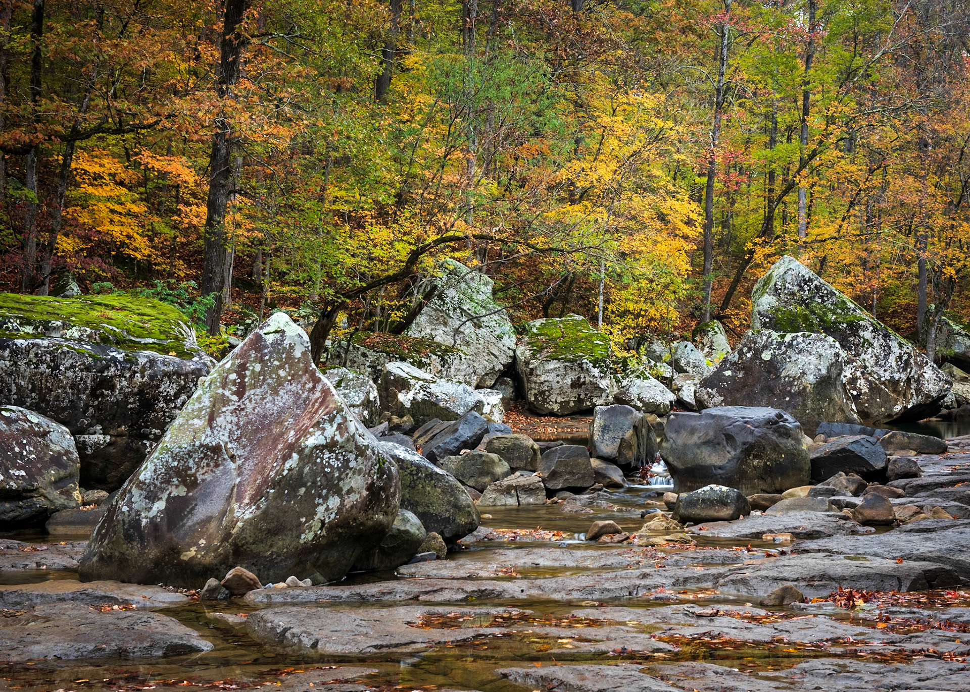 Richland Creek #24 : Arkansas, November 2017
