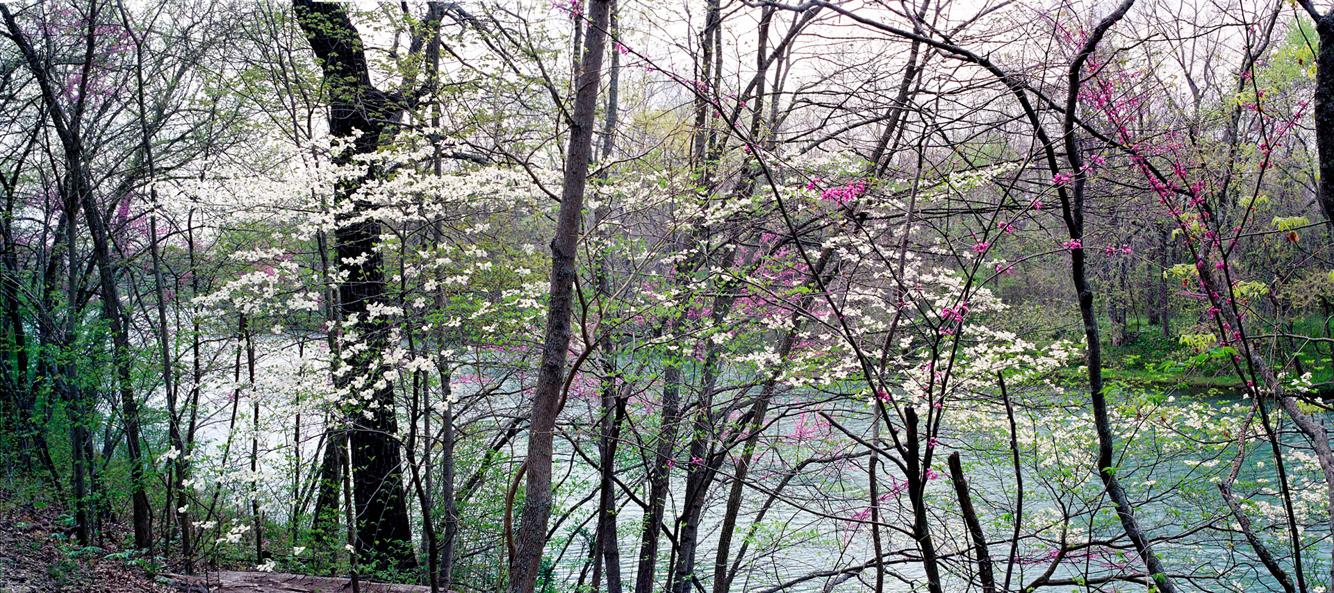 James River #3 : Missouri, April 2005