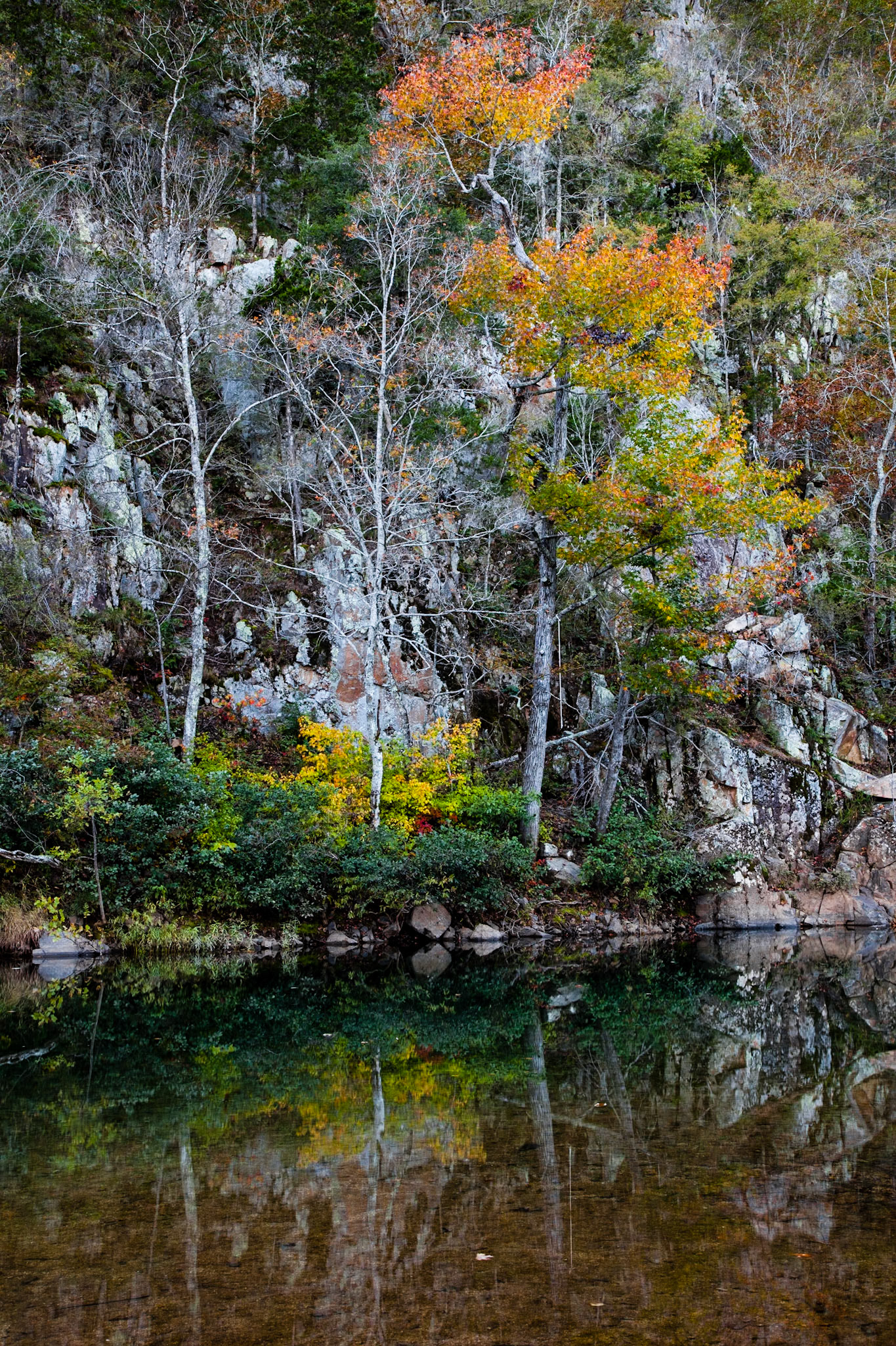 Big Creek, Sam Baker SP #3 : Missouri, October 2013