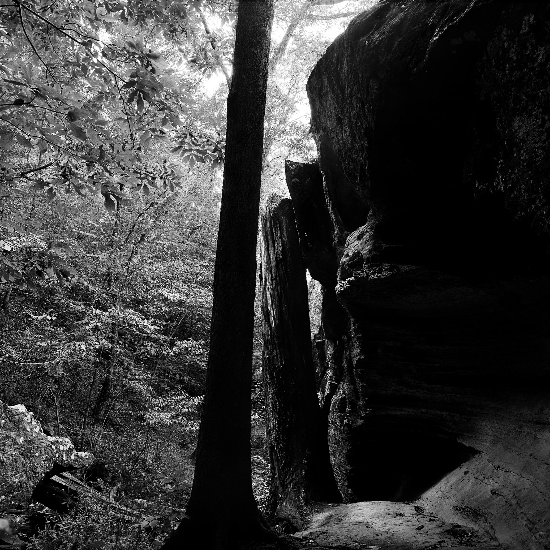 Devils Den #7 : Arkansas, October 1993