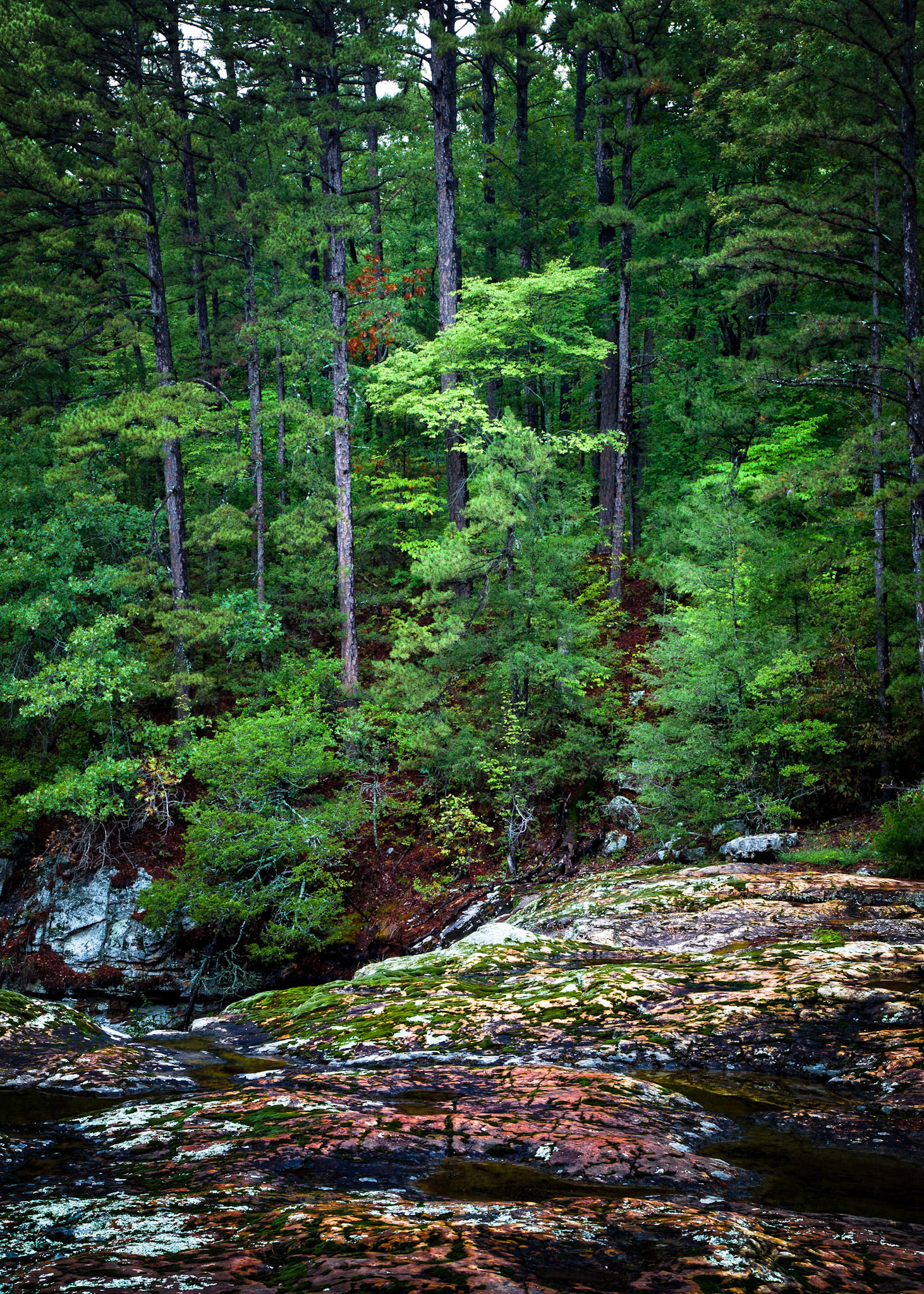 White Oak Creek #4 : Arkansas, September 2012