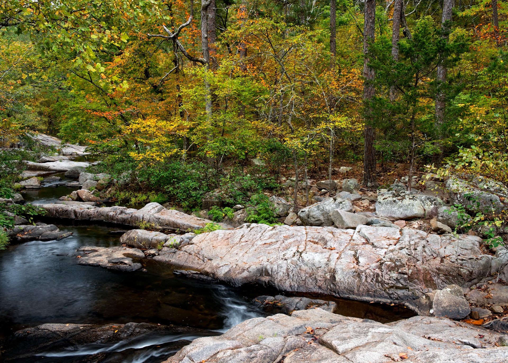 Pickle Creek, Hawn SP #10 : Missouri, October 2015