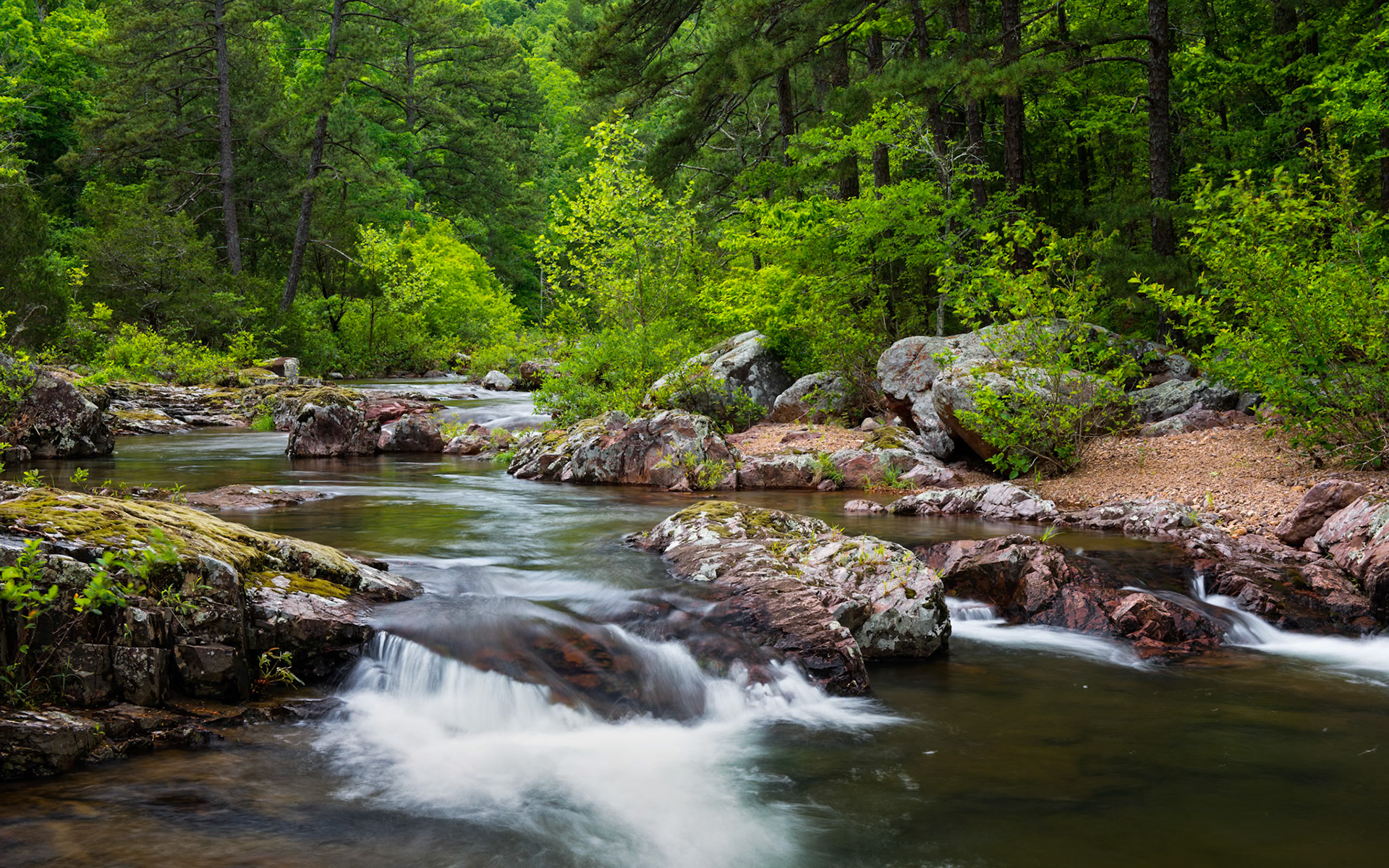Cathedral Canyon #1 : Missouri, May 2015