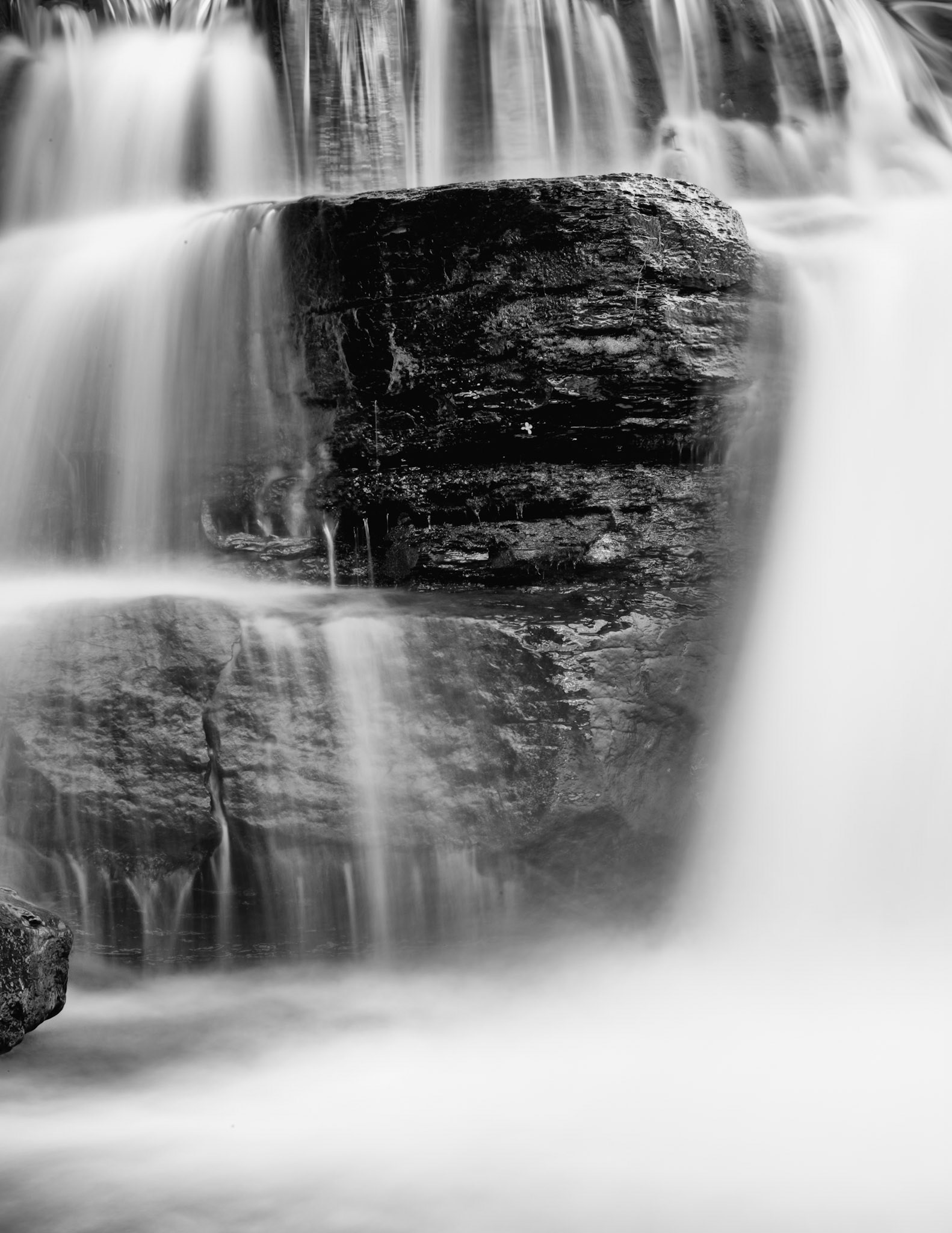 Natural Dam #2 : Arkansas, March 2013