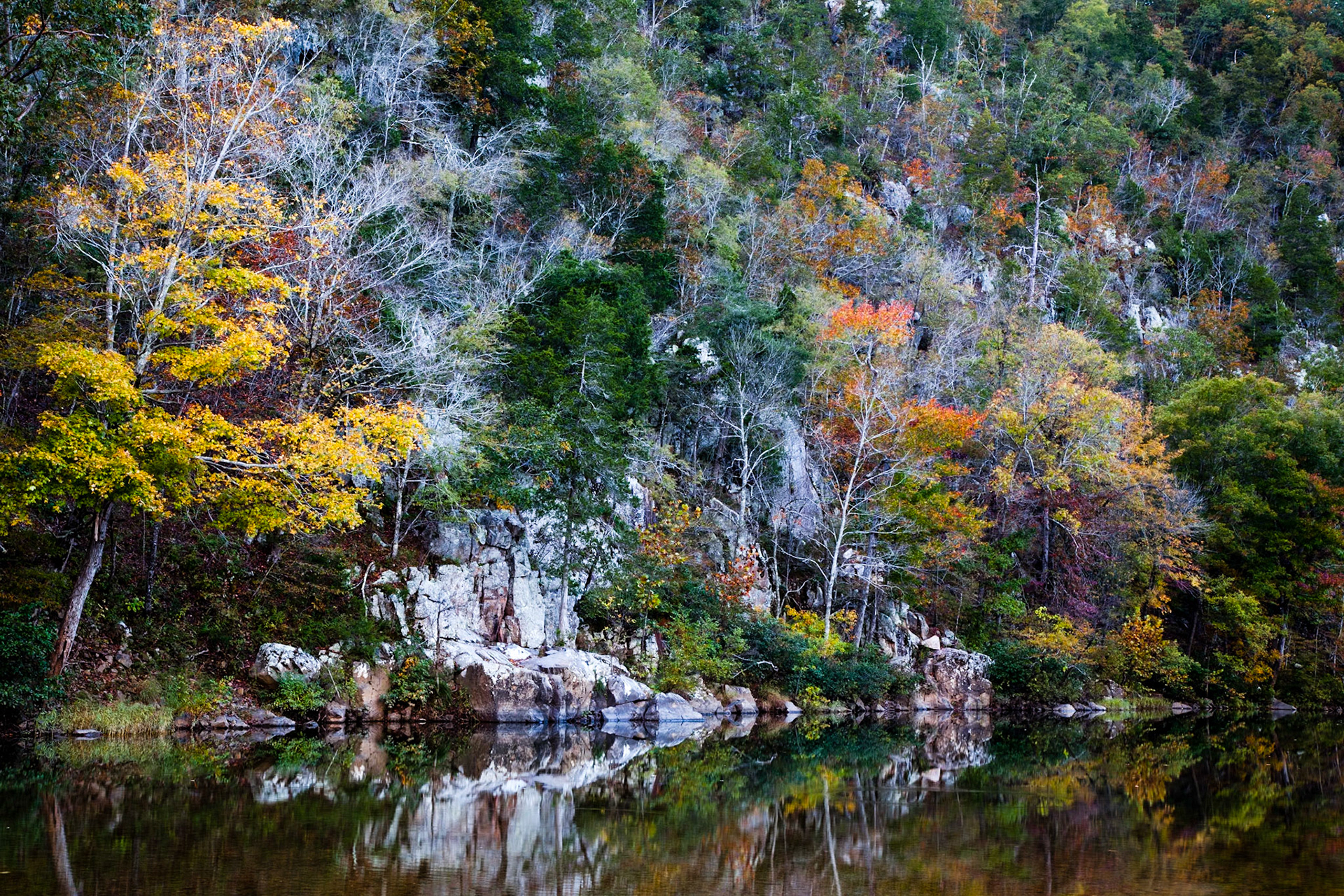 Big Creek, Sam Baker SP #1 : Missouri, October 2013