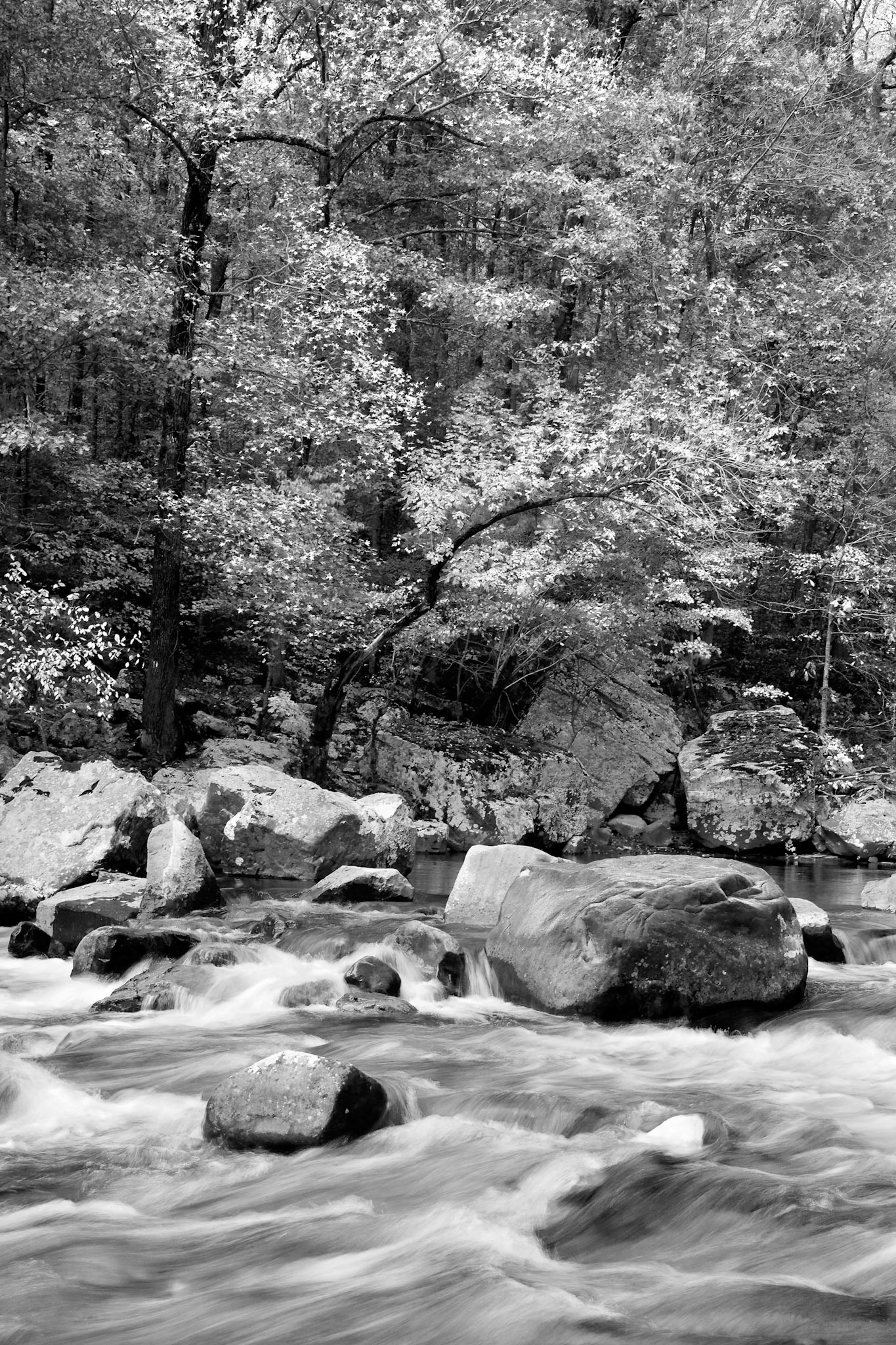 Richland Creek #8 : Arkansas, October 2006