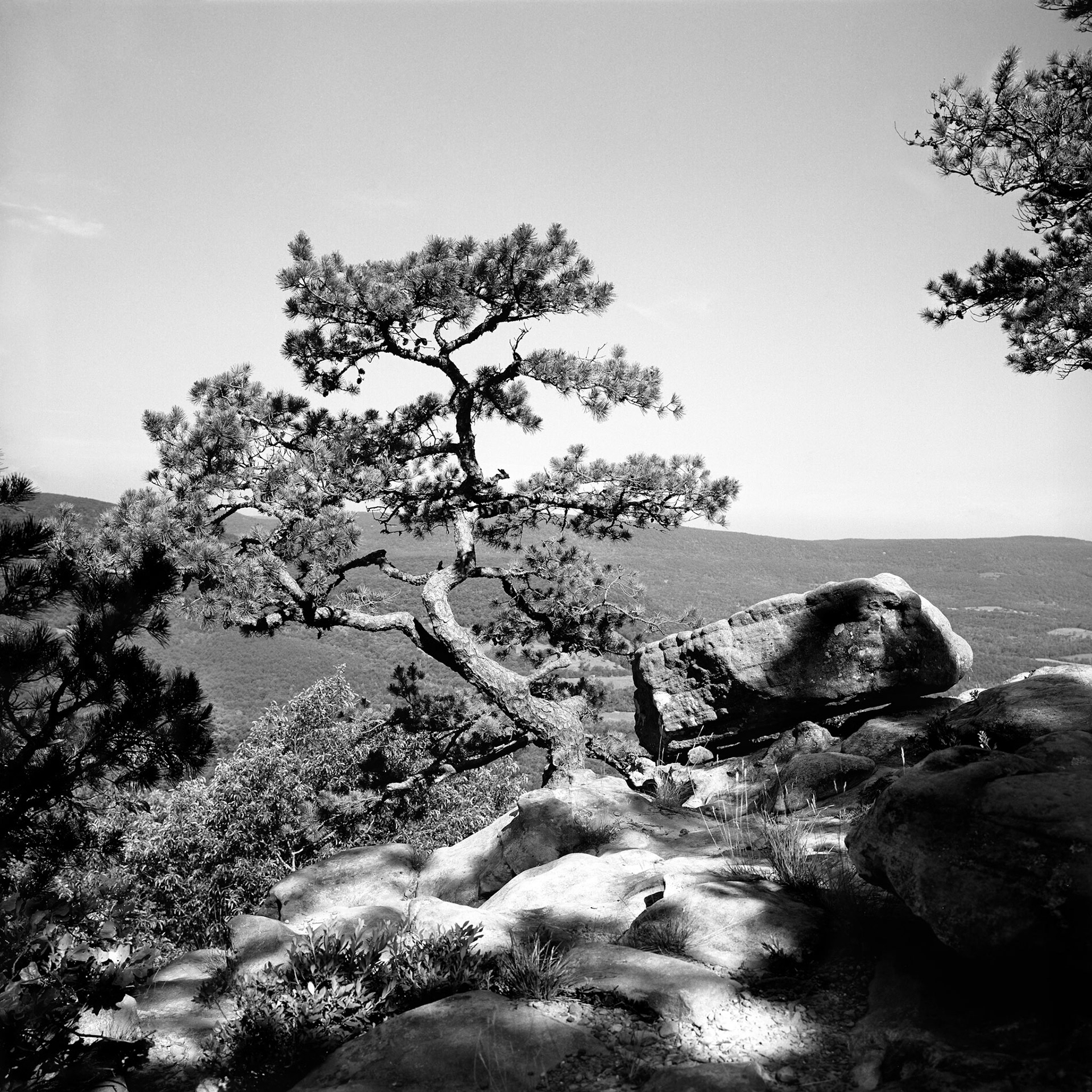 Sam's Throne #3 : Arkansas, June 1999