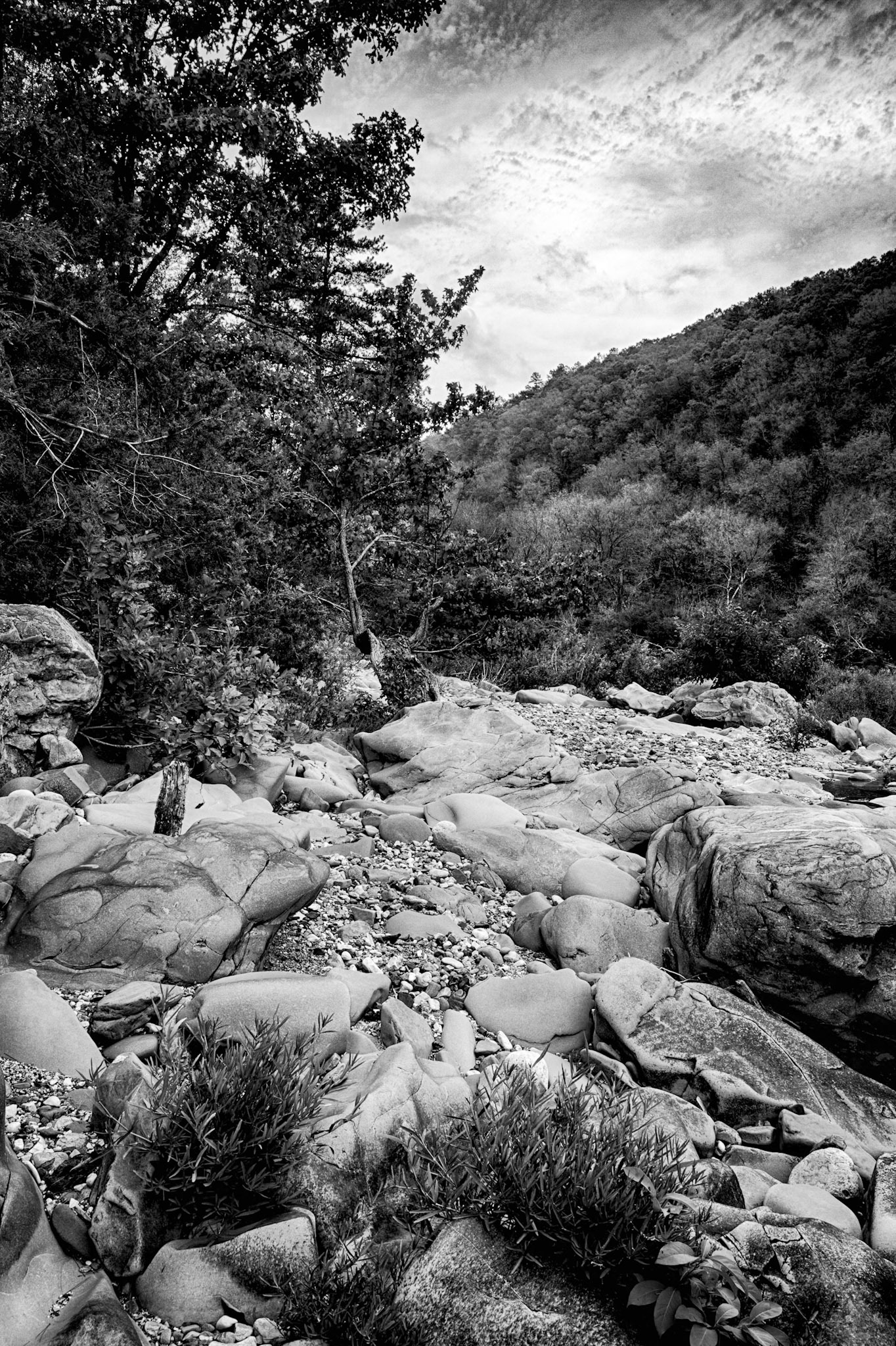 Cossatot River Natural Area #7 : Arkansas, September 2011