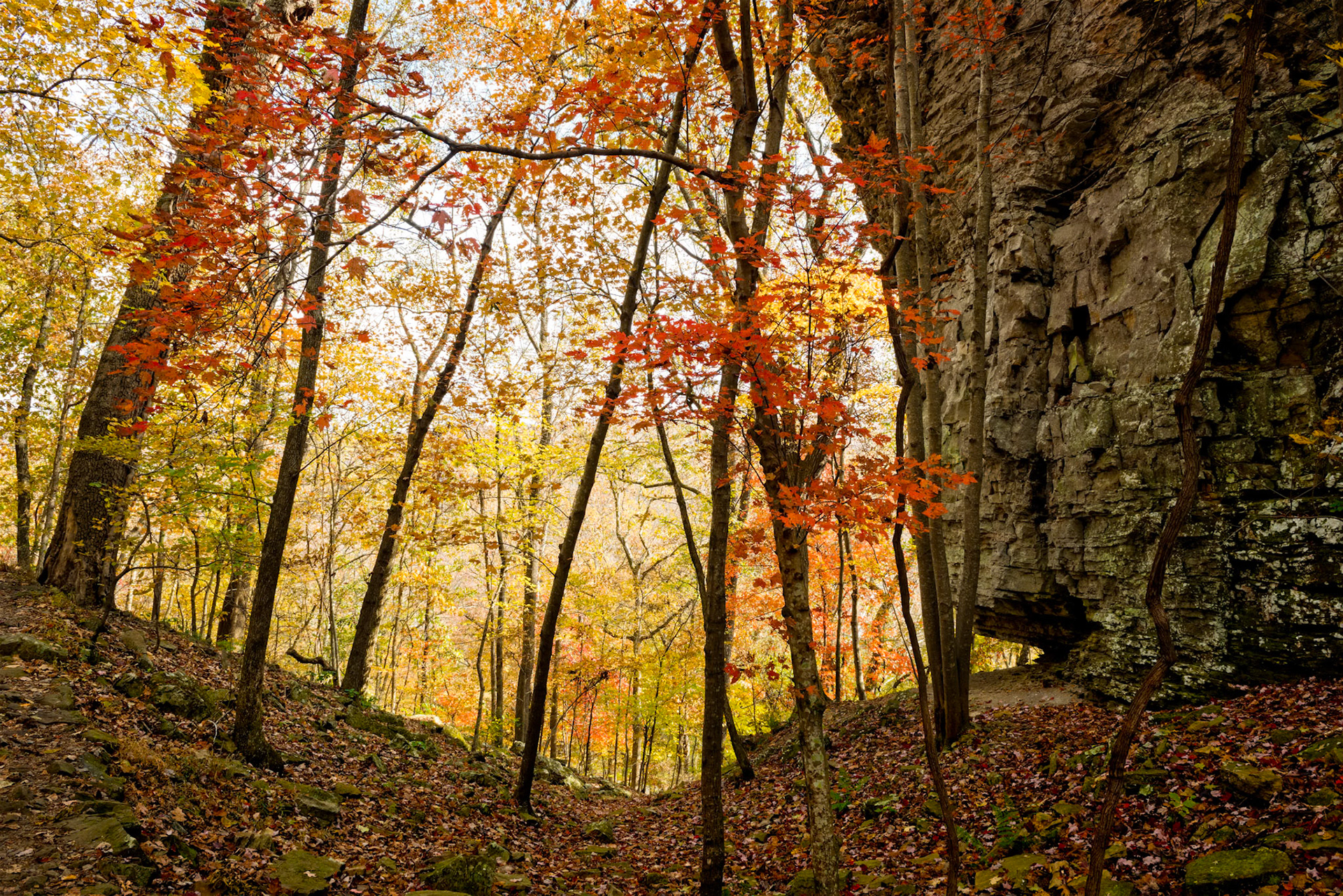 Devil's Den #8 : Arkansas, November 2017