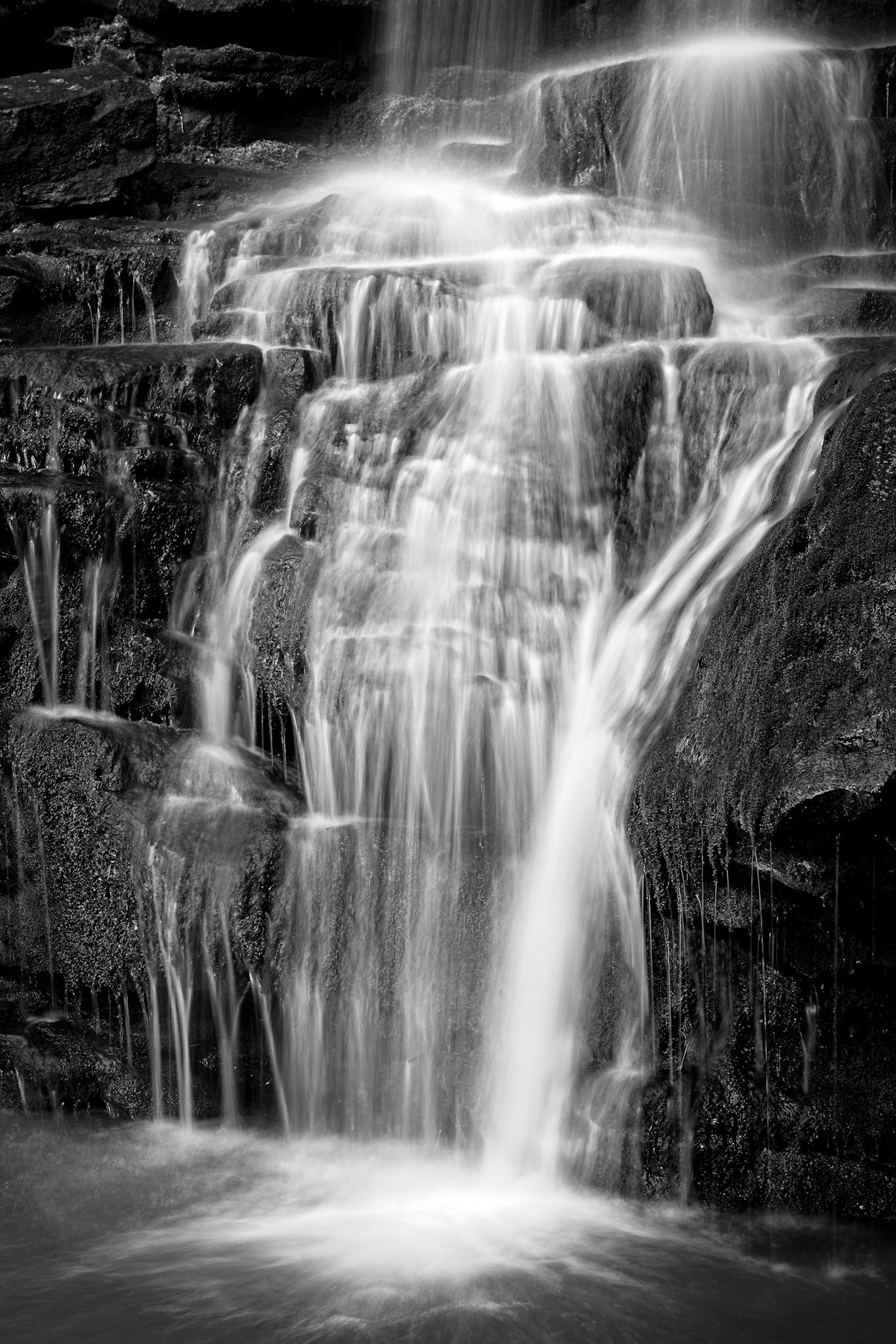 Magnolia Falls #1 : Arkansas, April 2015
