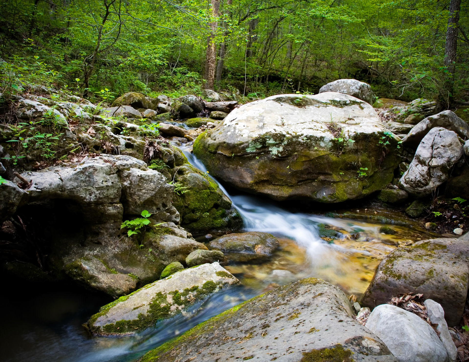 Indian Creek #13 : Arkansas, April 2006