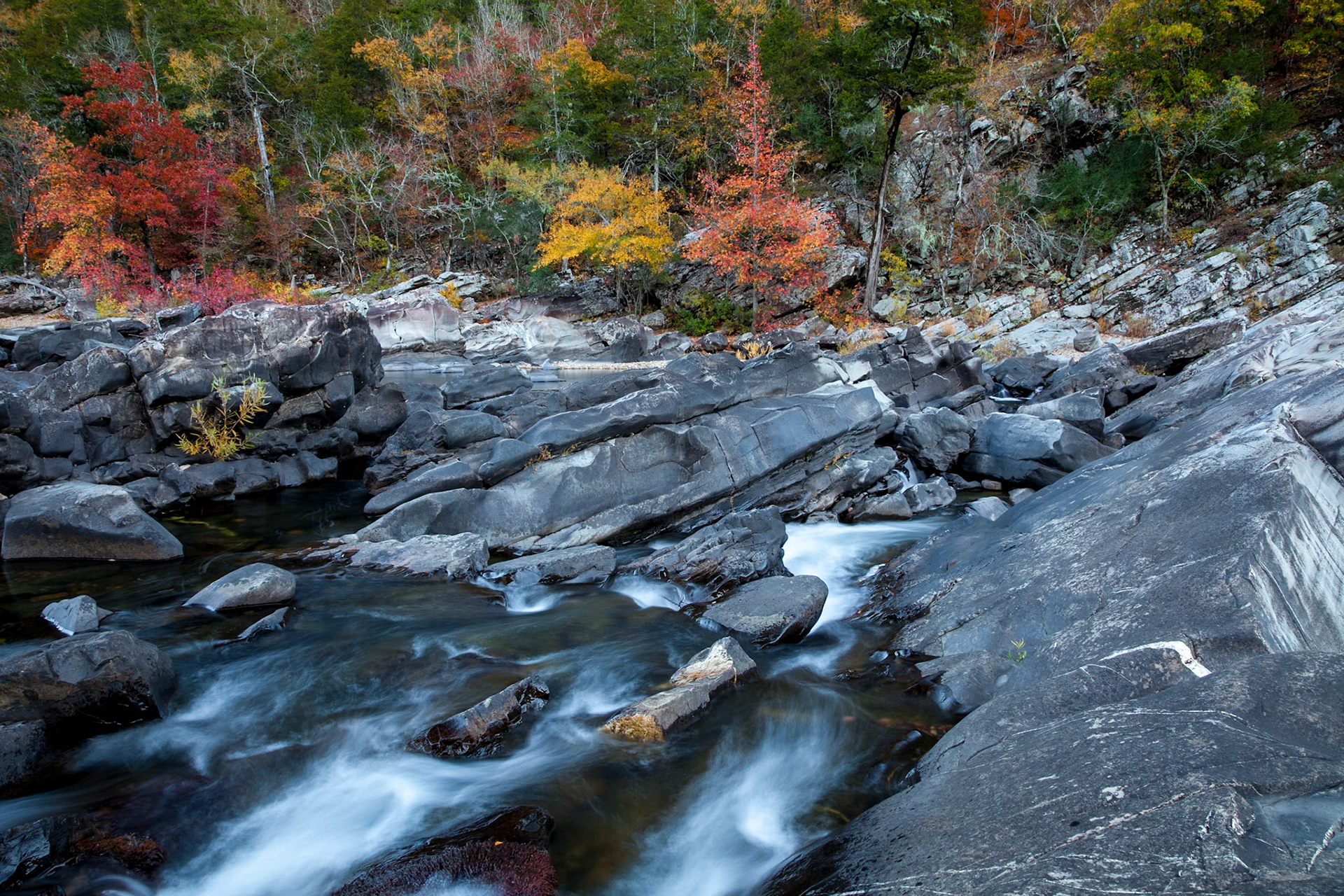 Cossatot River Natural Area #12 : Arkansas, November 2012