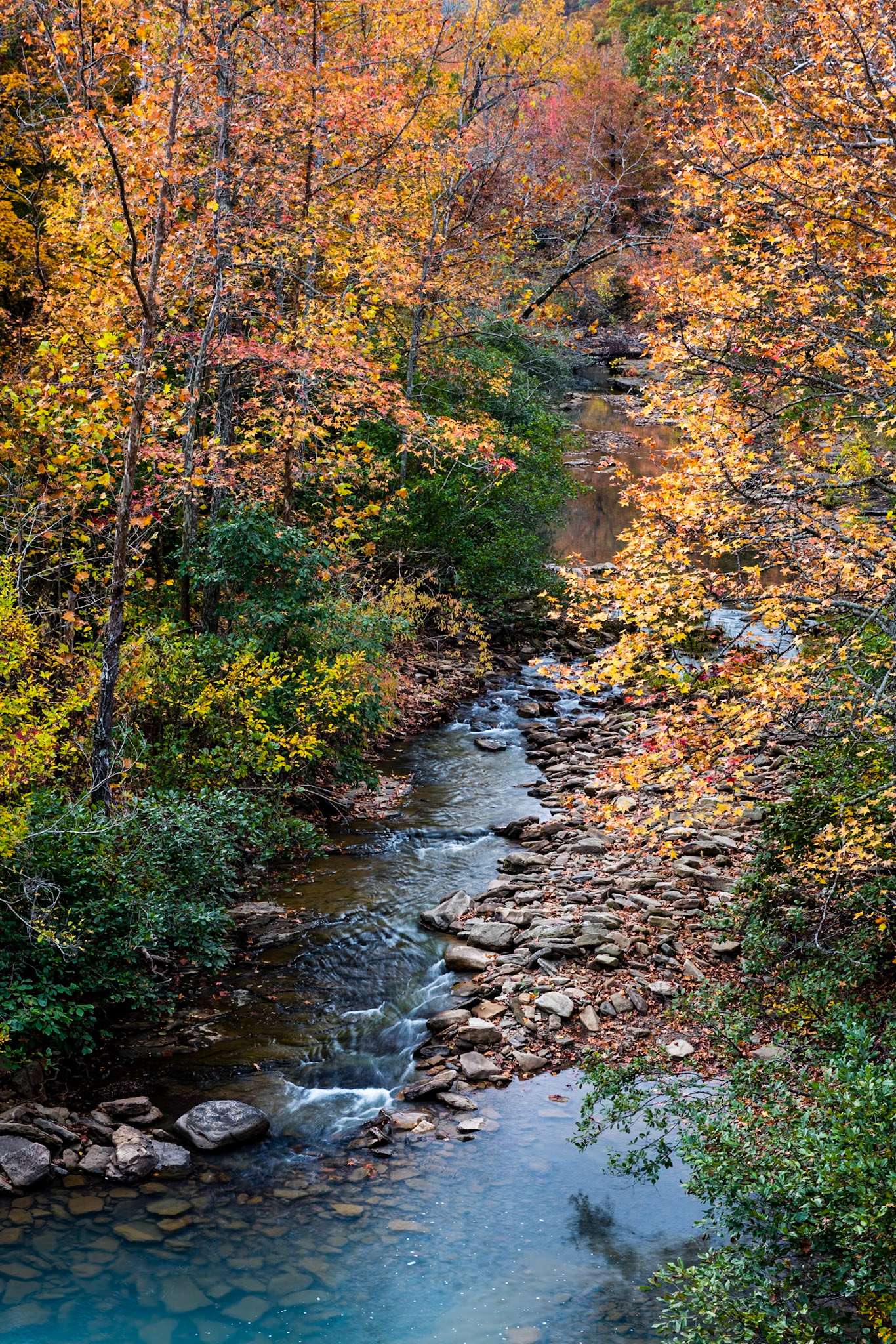 Richland Creek Wilderness #39 : Arkansas, October 2014