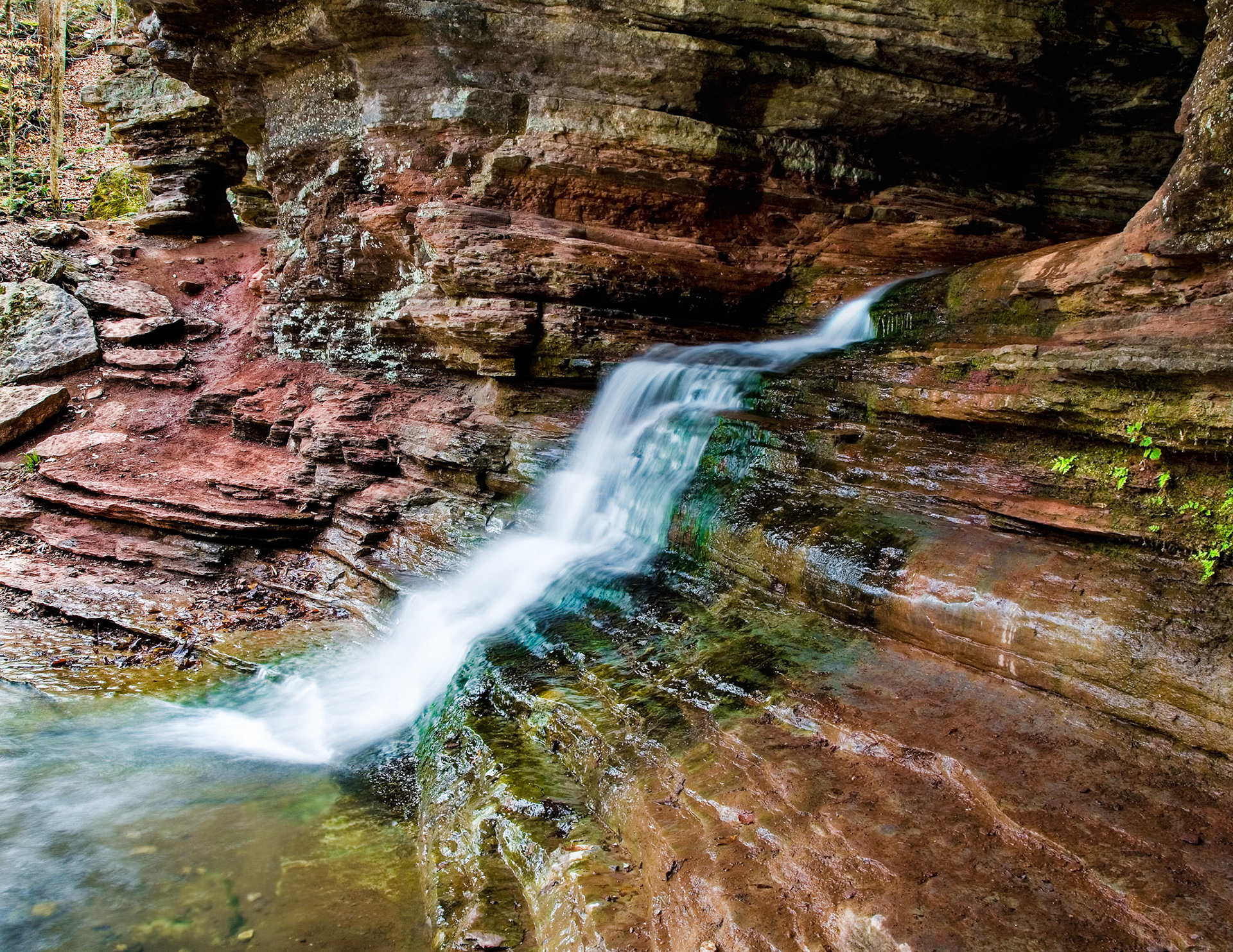 Lost Valley #13 : Arkansas, April 2006