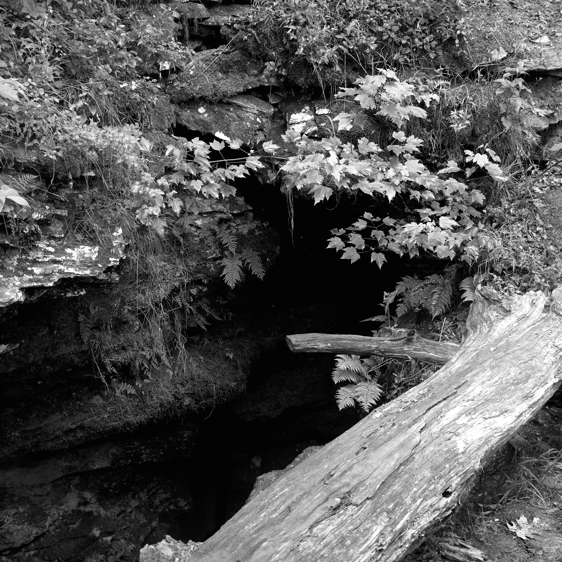 Devils Den #11 : Arkansas, June 1995