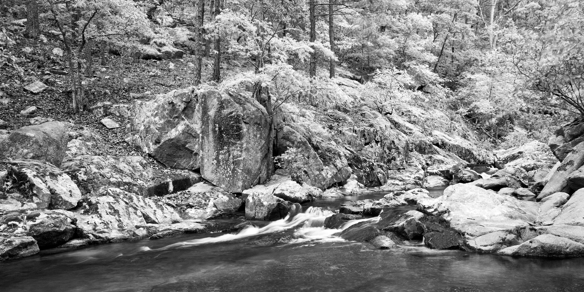 Pickle Creek, Hawn SP #1 :: Missouri, April 2010