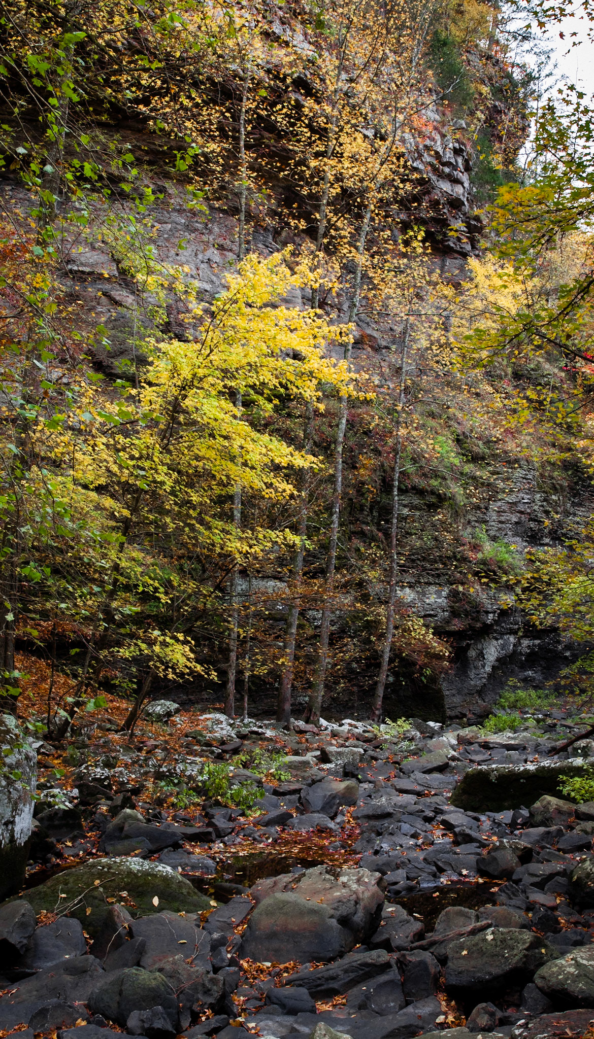 Petit Jean #46 : Arkansas, November 2011