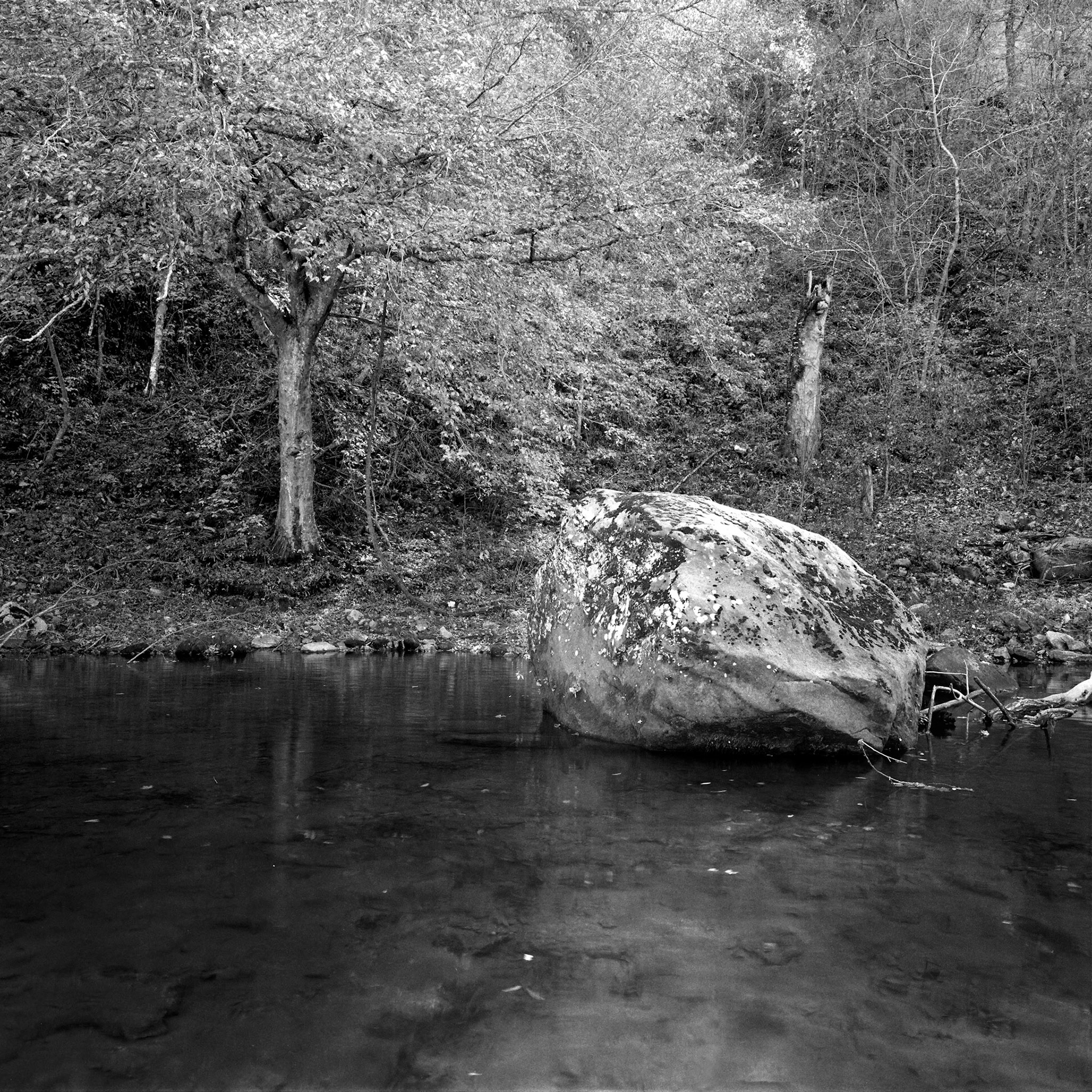 Buffalo River #2 : Arkansas, October 2003