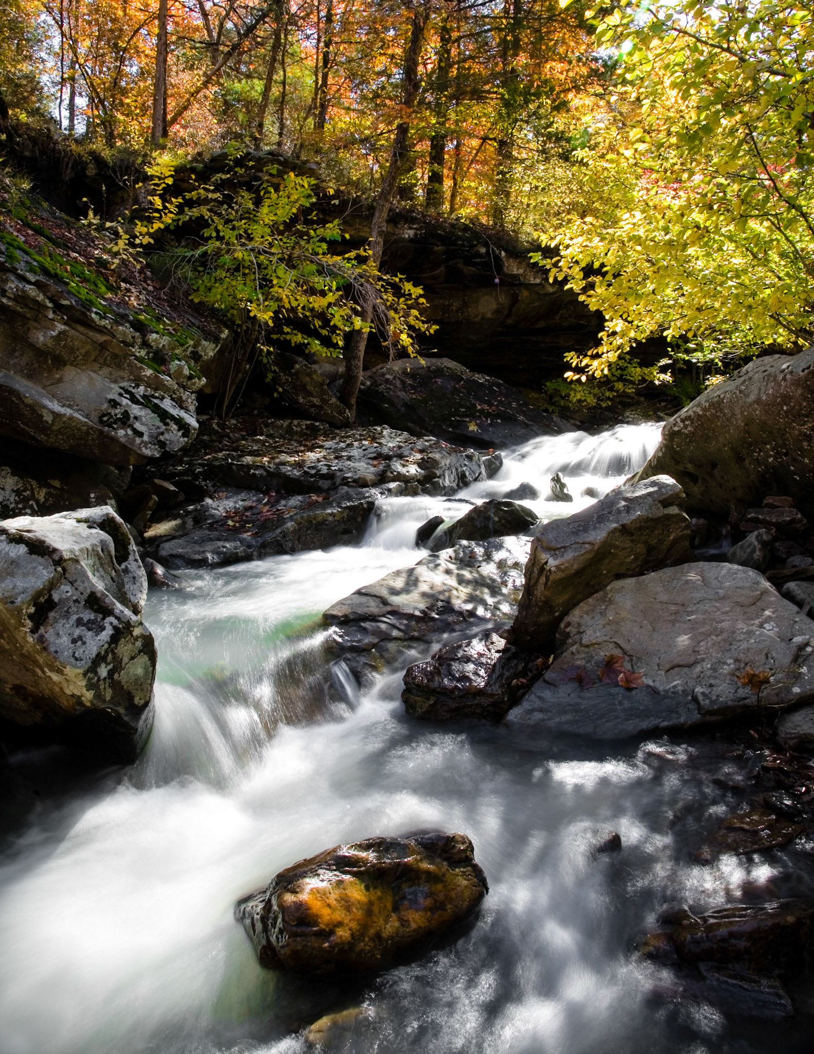 Richland Creek Wilderness #7 : Arkansas, October 2006