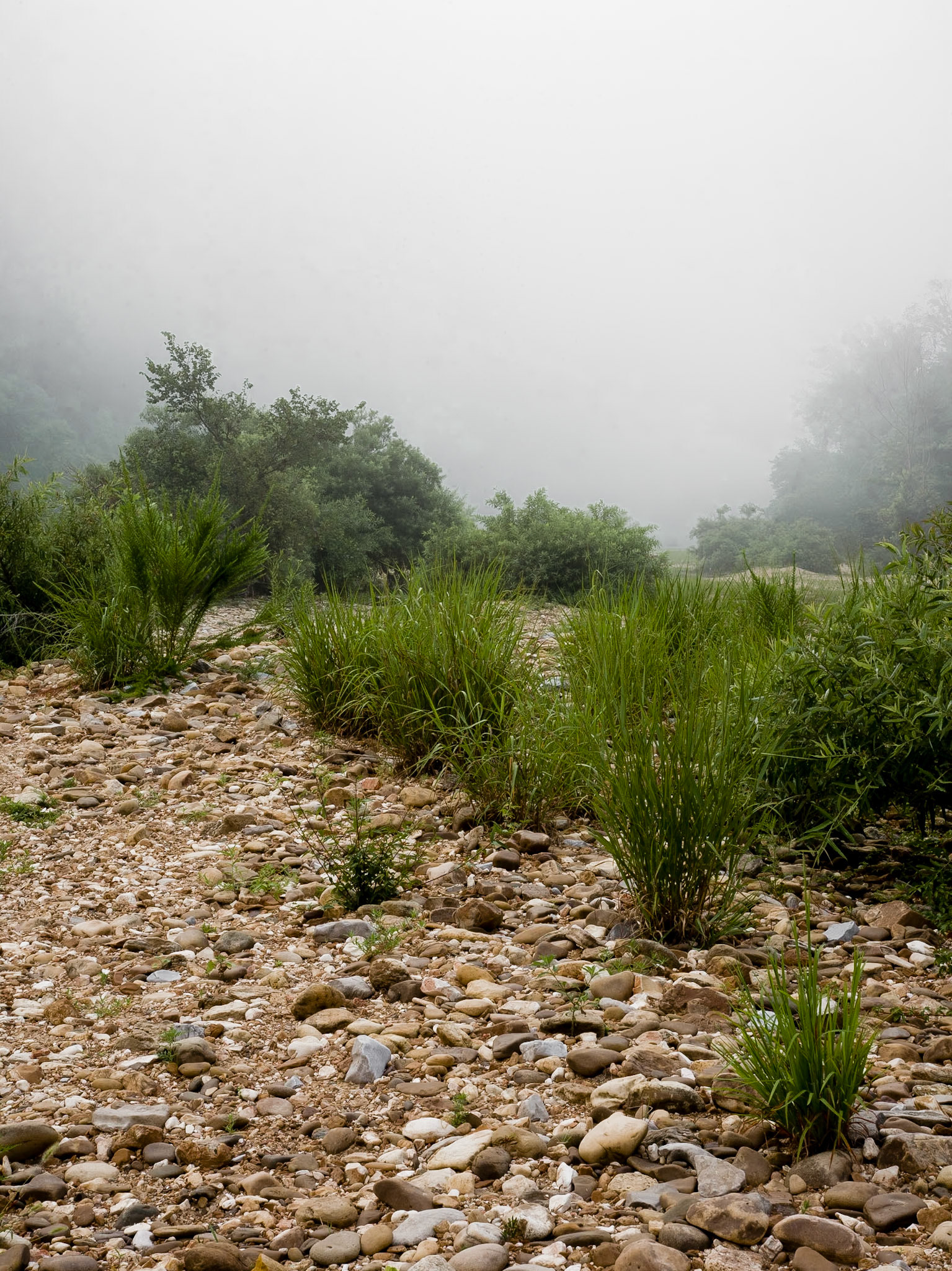 Buffalo Point #6 : Arkansas, July 2007