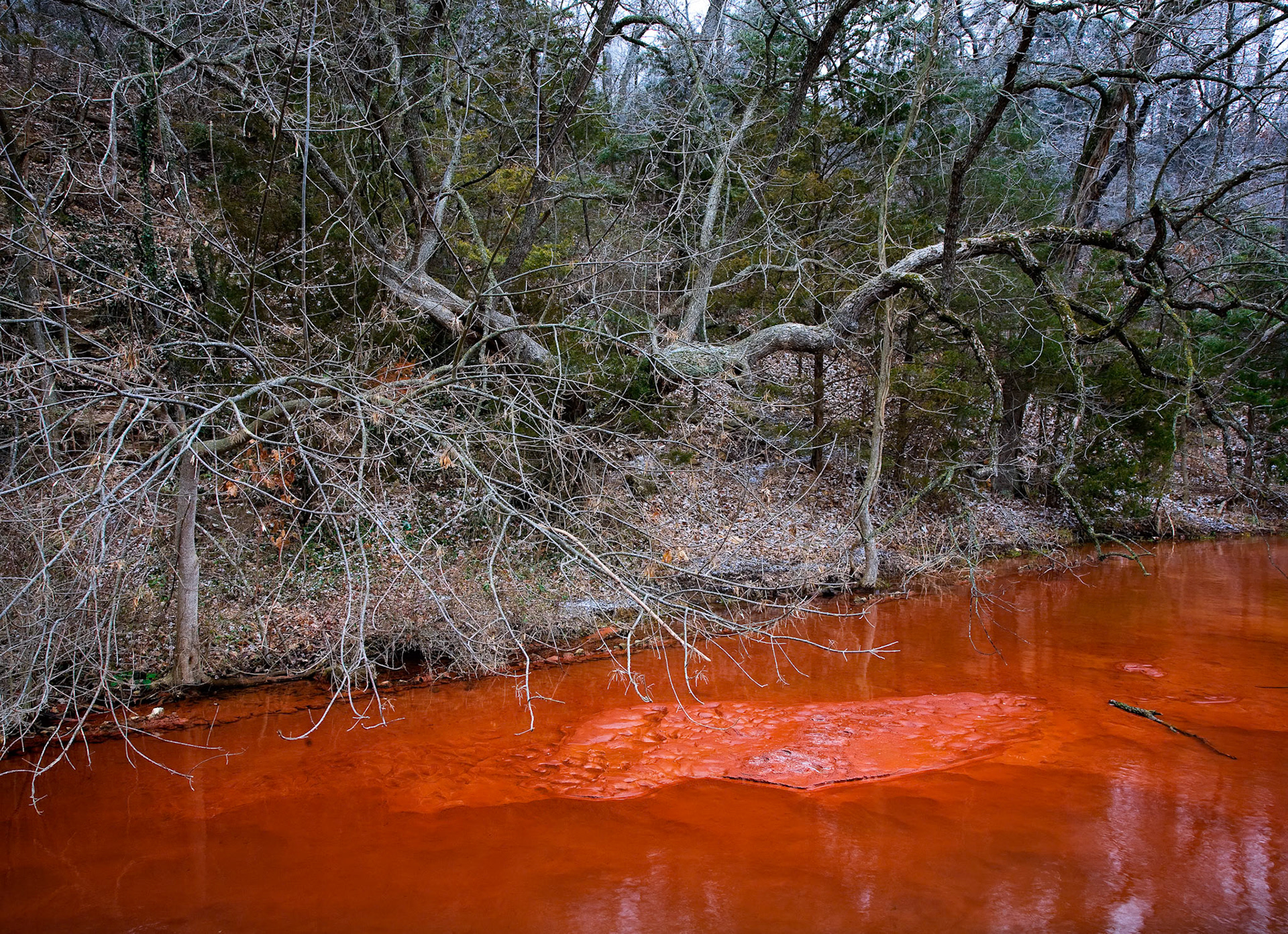 Springfield #8 : Missouri, January 2007