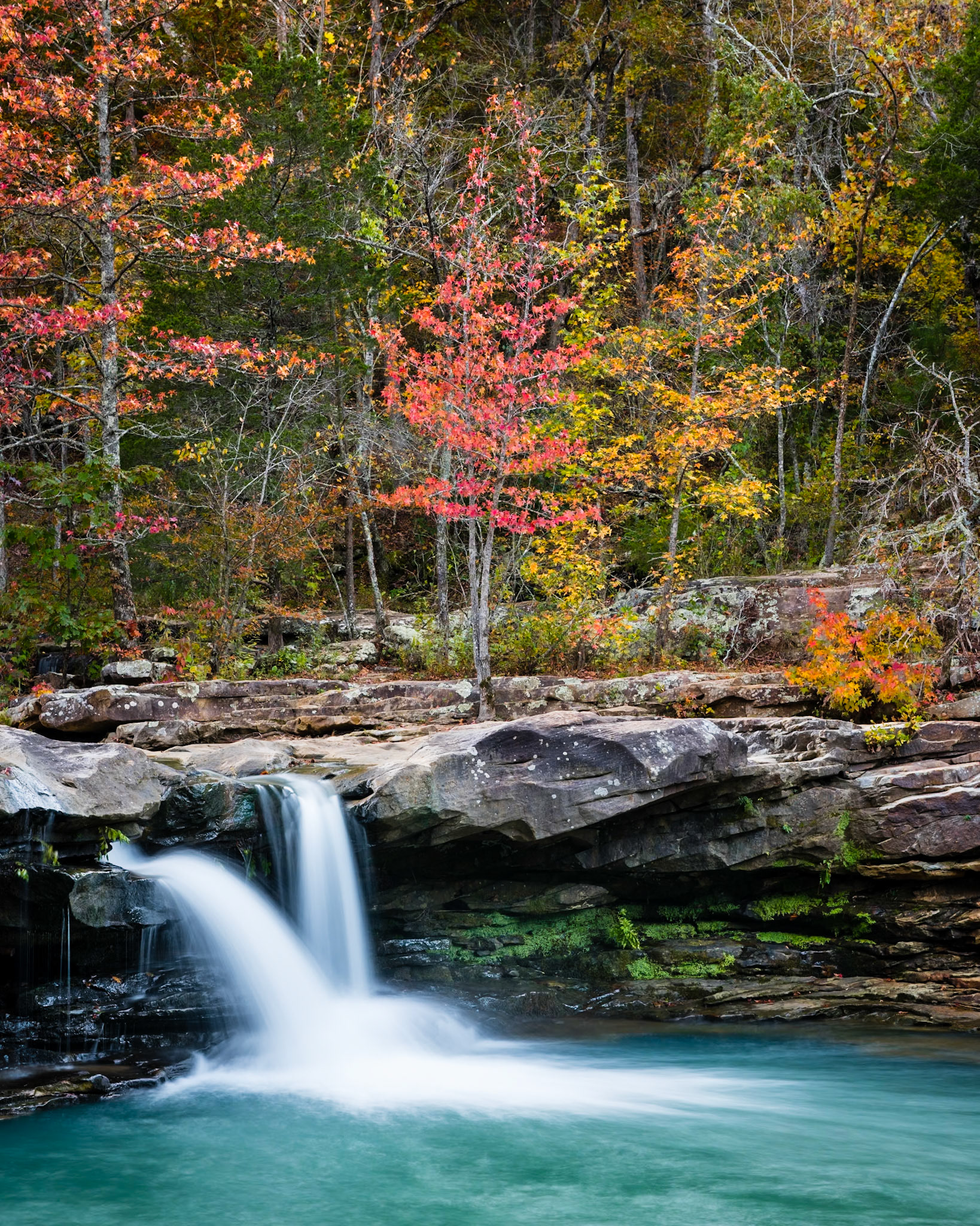 King's River #5 : Arkansas, October 2014