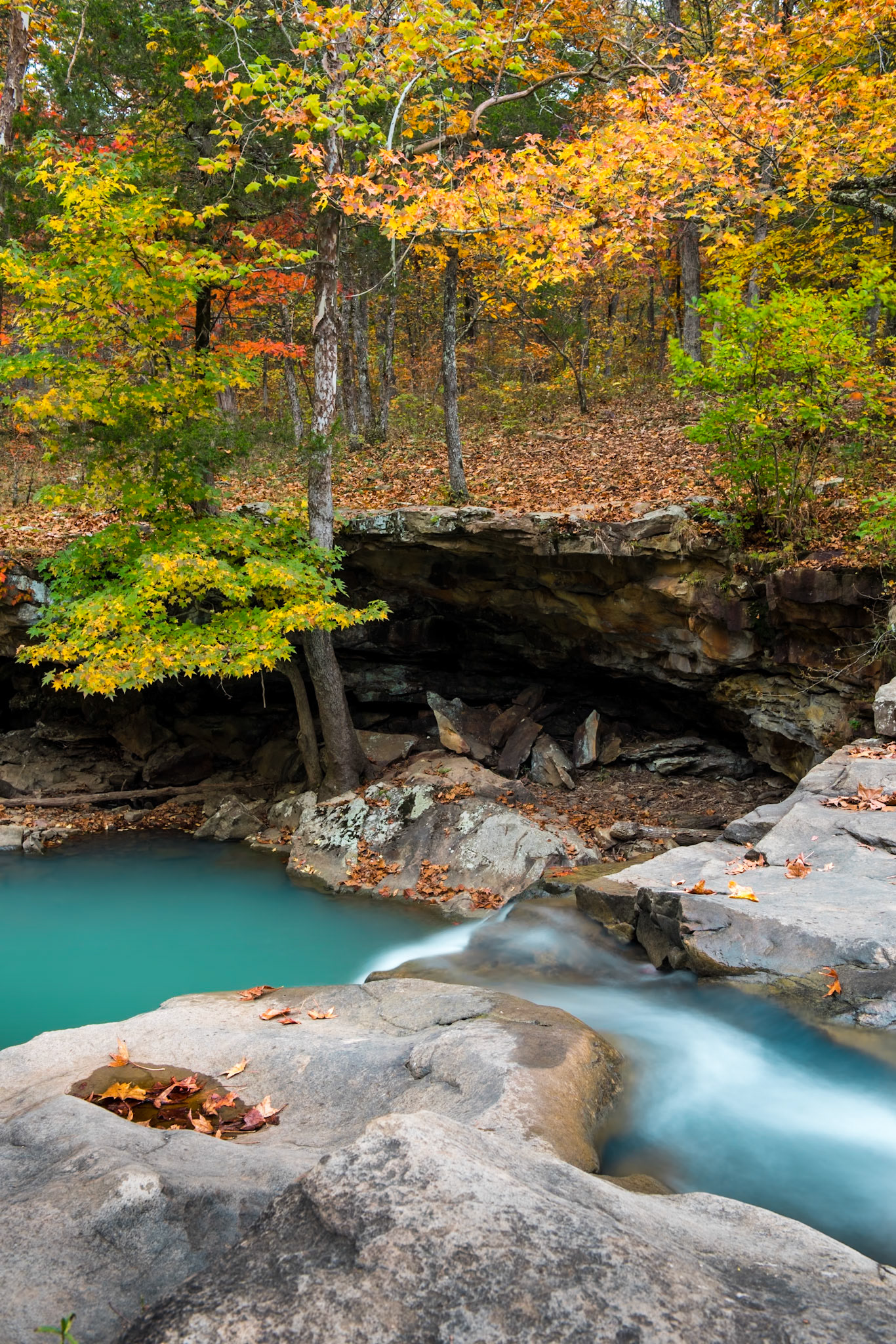 Richland Creek Wilderness #40 : Arkansas, October 2014