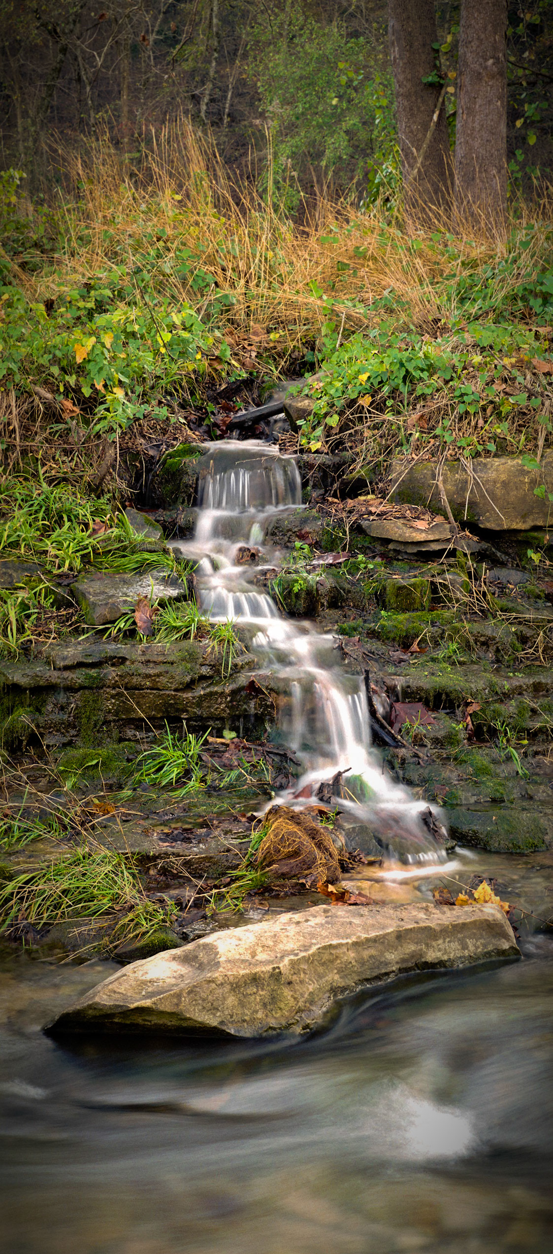Mincy Conservation Area #2 : Missouri, November 2004