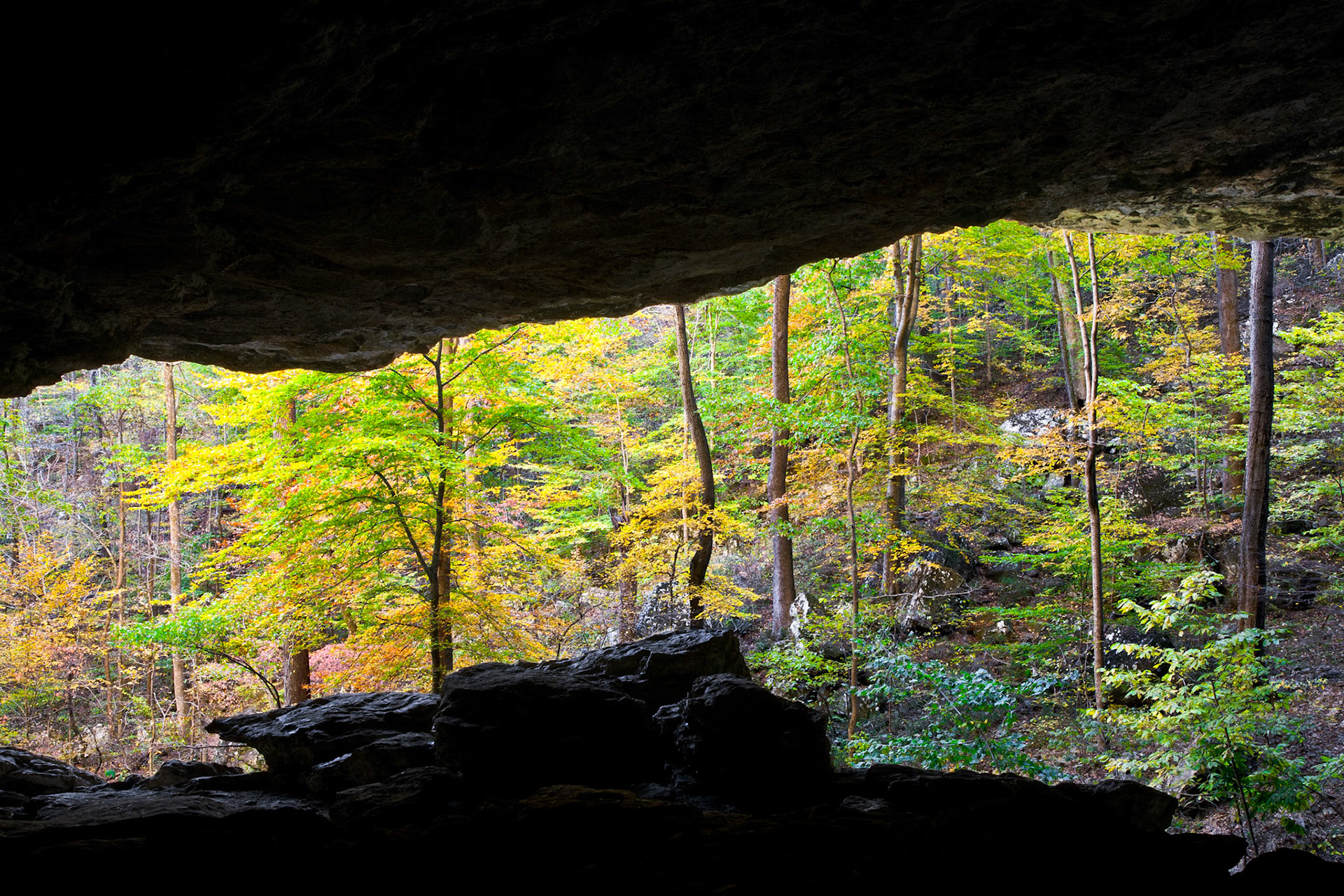 Lost Valley #25 : Arkansas, October 2009