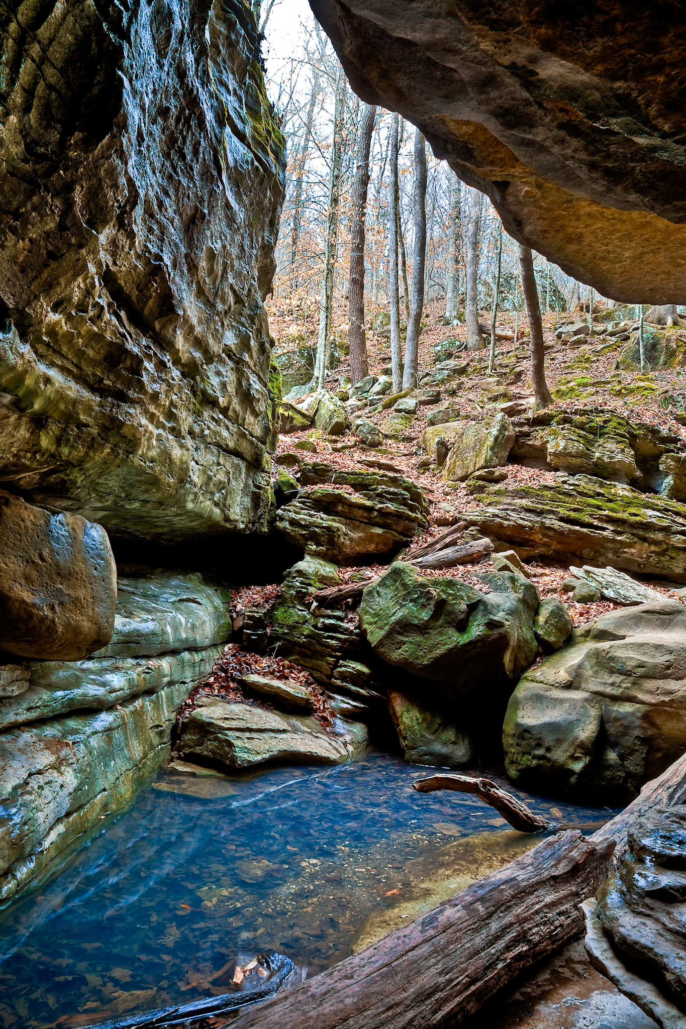 Lost Valley #4 : Arkansas, April 2006