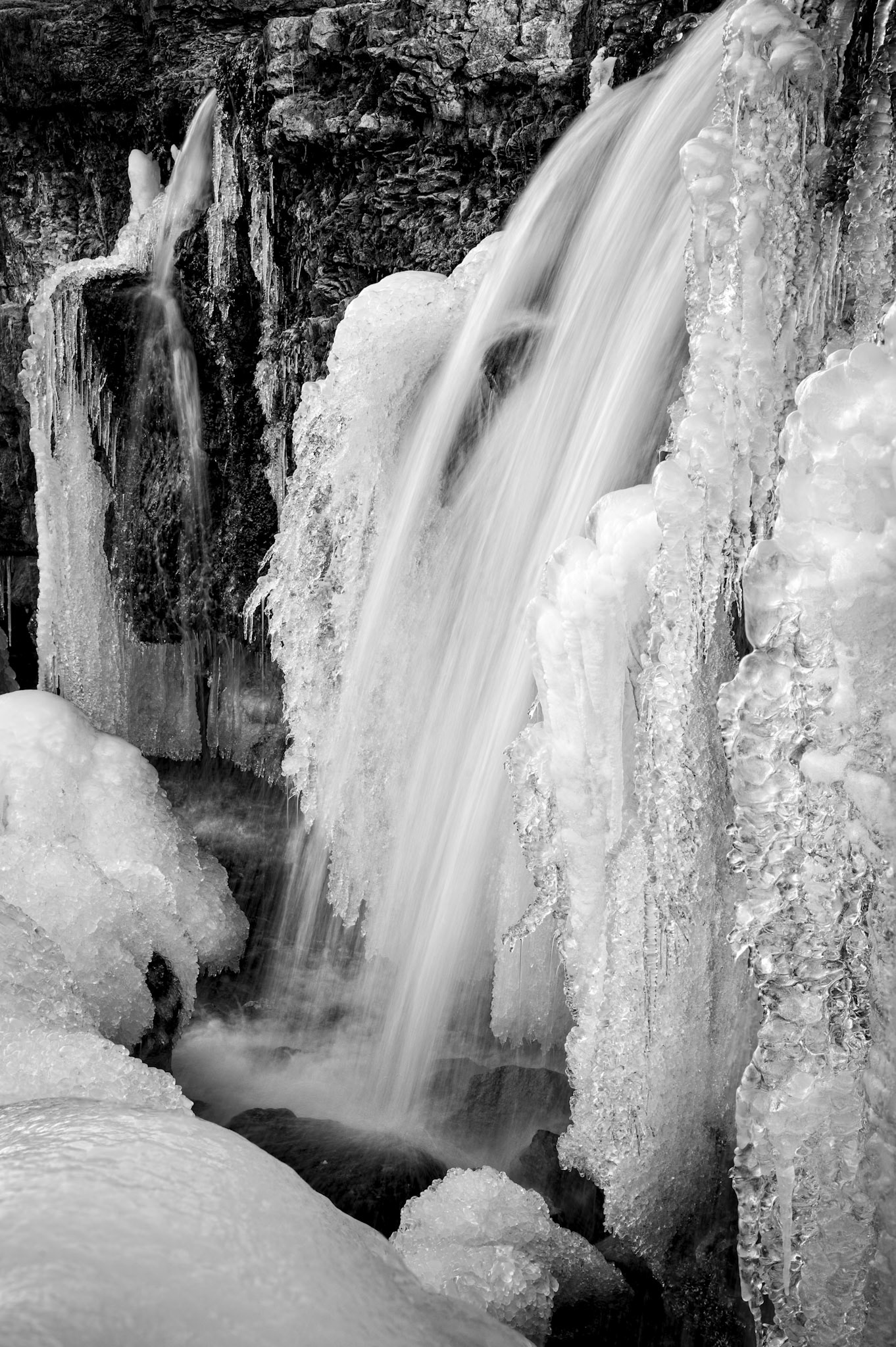 Shoal Creek #4 : Missouri, January 2018