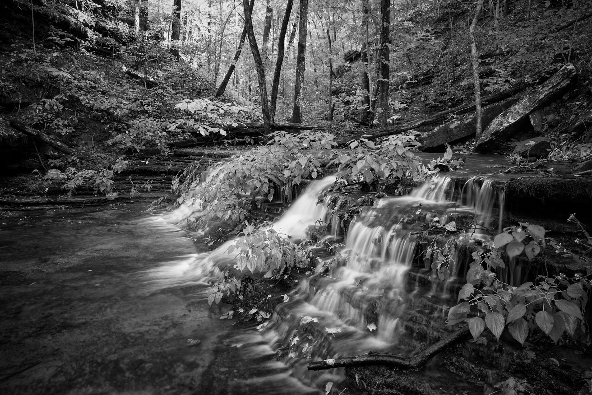 Ozark National Forest #6 : Arkansas, October 2012
