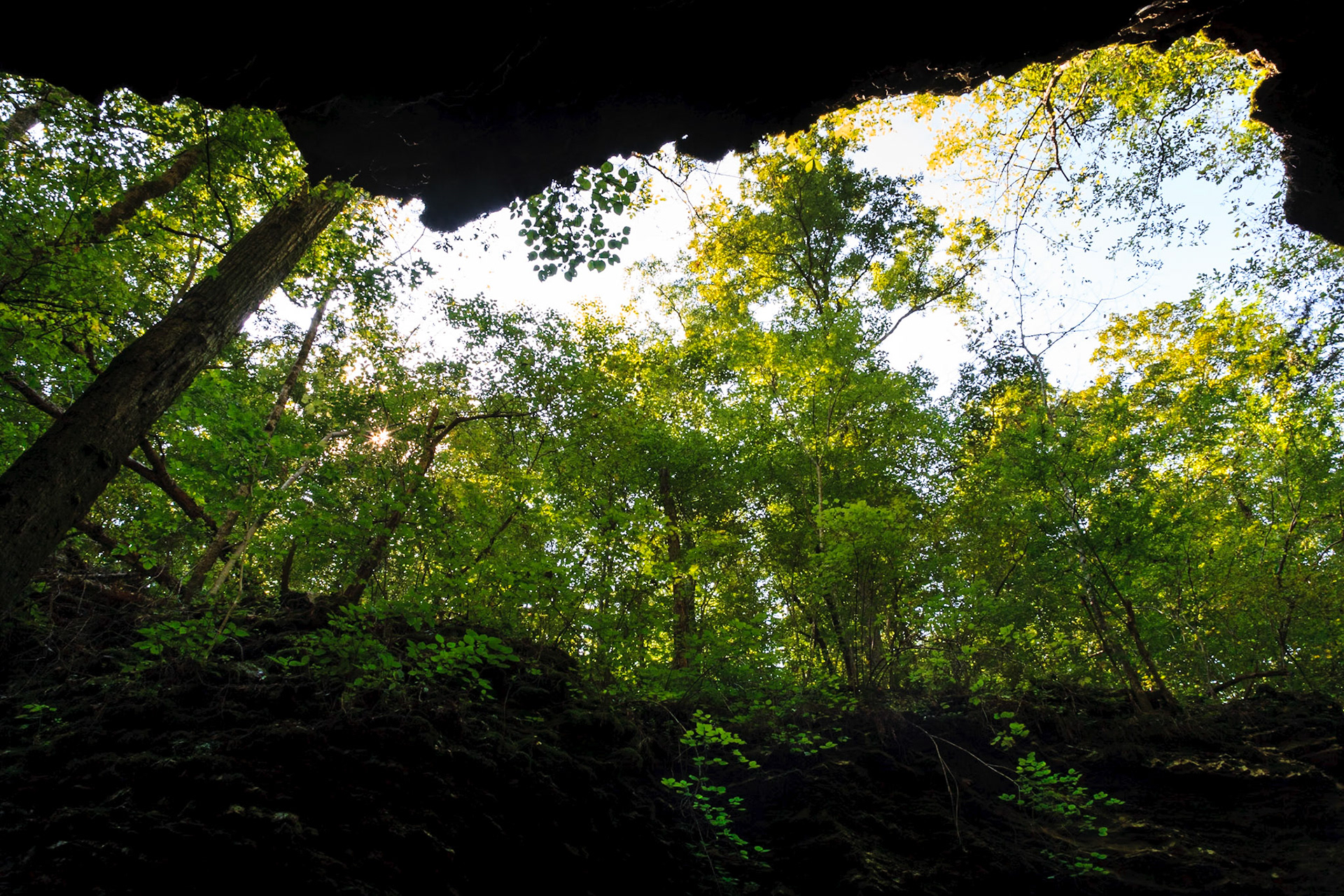 Richland Creek Wilderness Area #31 : Arkansas, September 2008