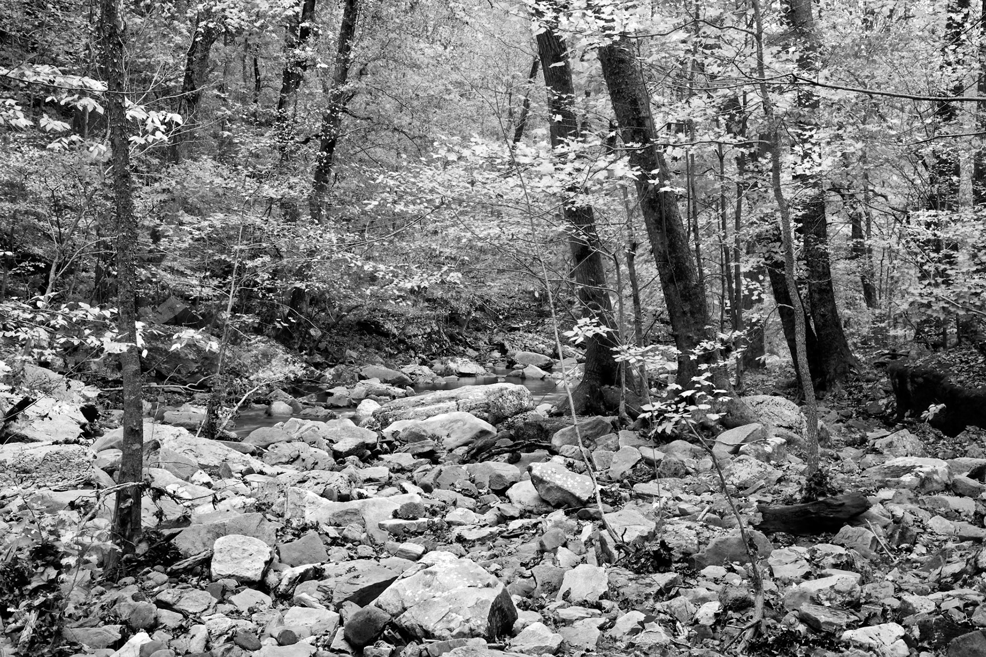 Richland Creek Wilderness #16 : Arkansas, October 2006