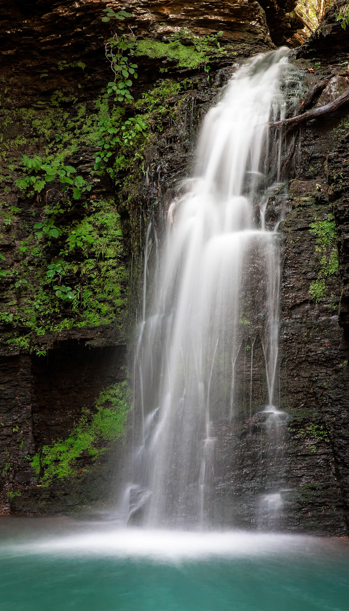 Richland Creek Wilderness Area #30 : Arkansas, September 2008