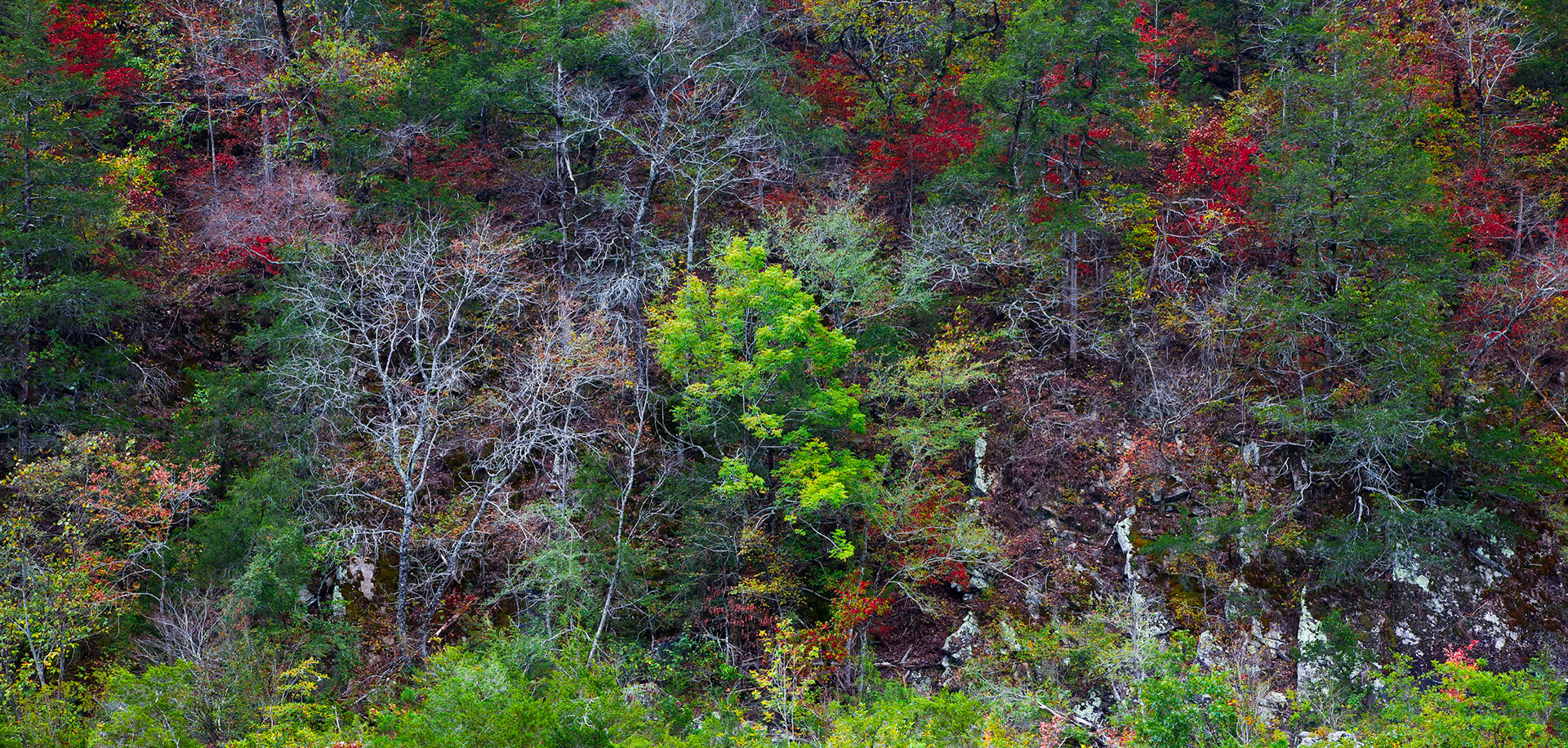 Cossatot River Natural Area #2 : Arkansas, September 2011