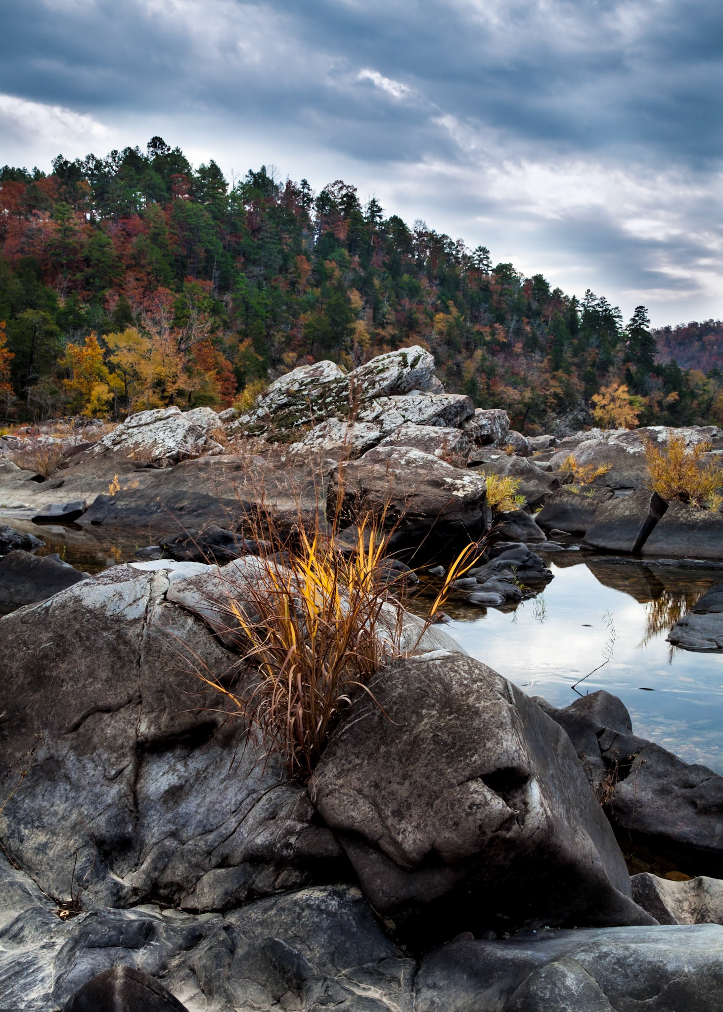 Cossatot River Natural Area #18 : Arkansas, November 2012